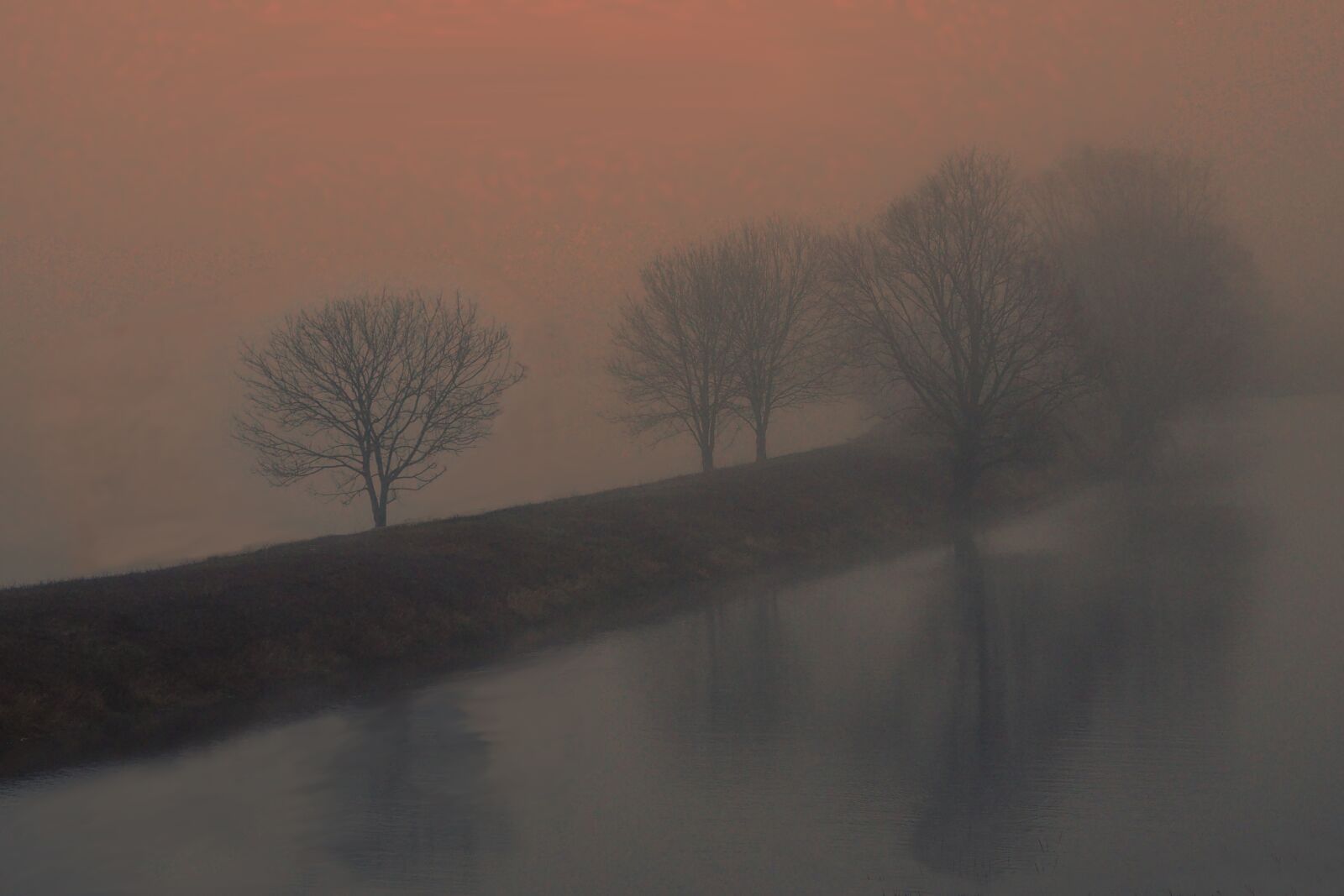 Olympus M.Zuiko Digital ED 12-100mm F4.0 IS Pro sample photo. Landscape, fog, avondstemming photography