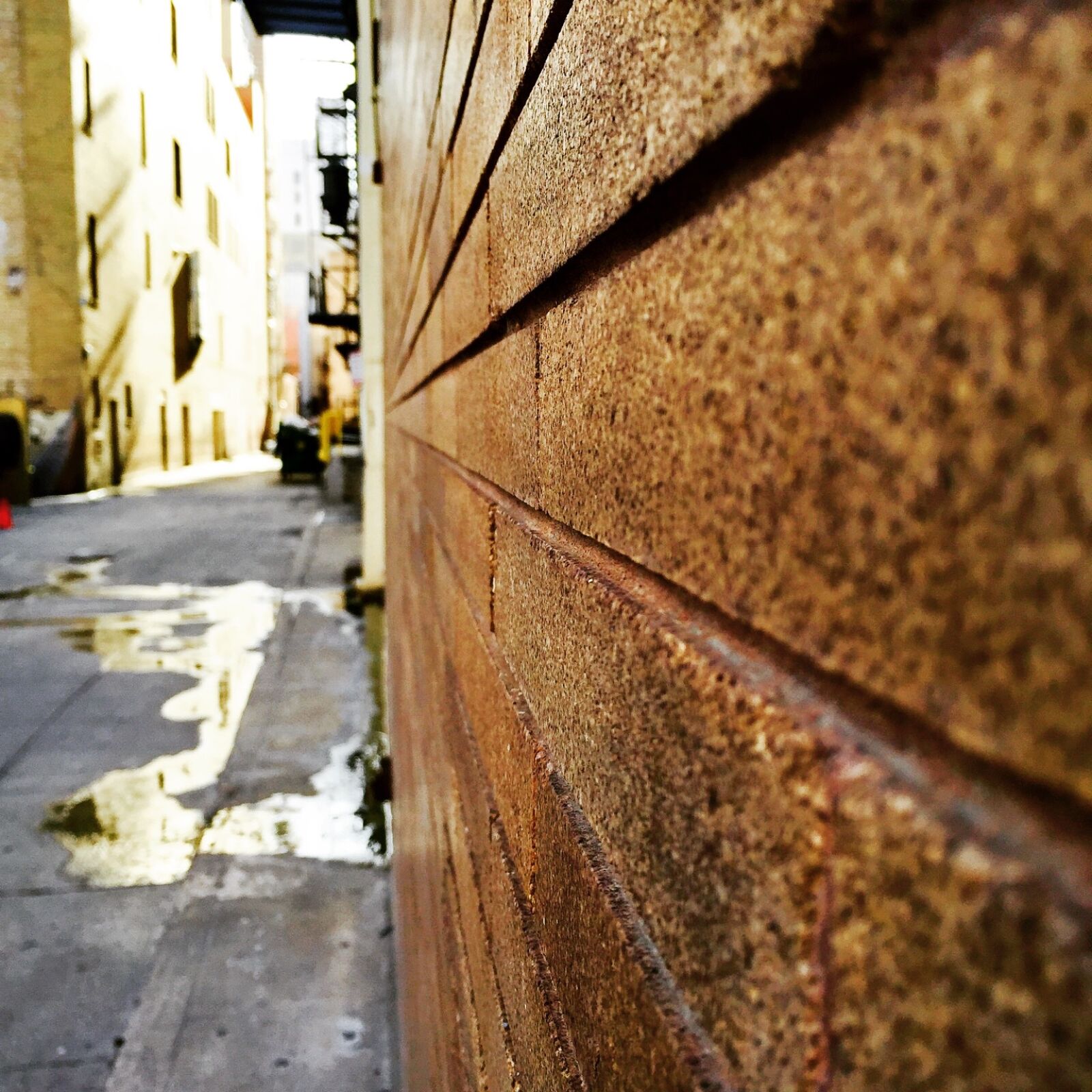 iPhone 6 back camera 4.15mm f/2.2 sample photo