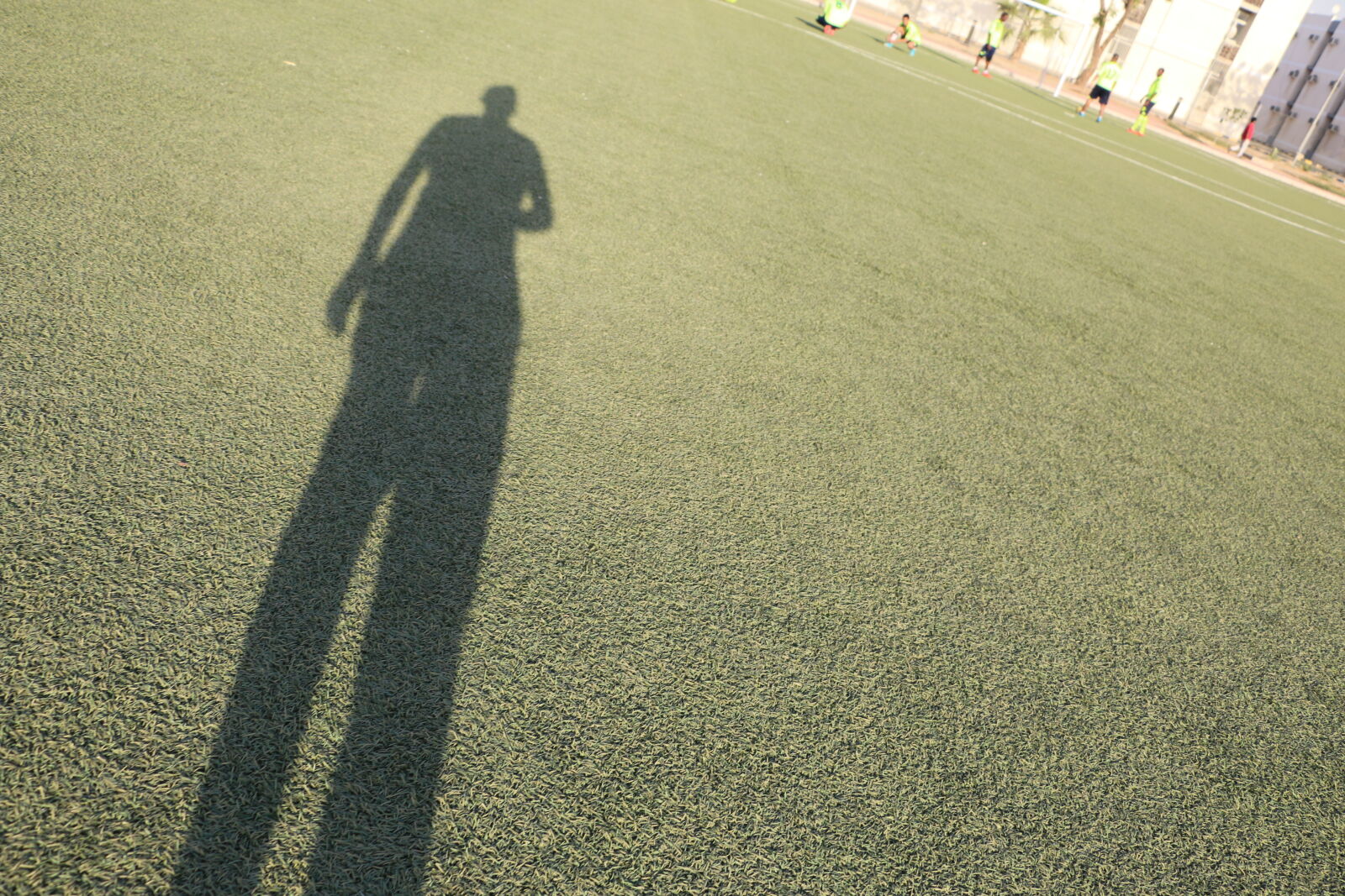 Canon EOS 70D sample photo