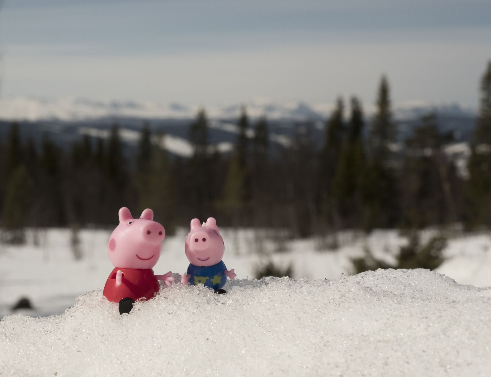 Fujifilm X-T20 sample photo. Peppa pig, pig, toy photography