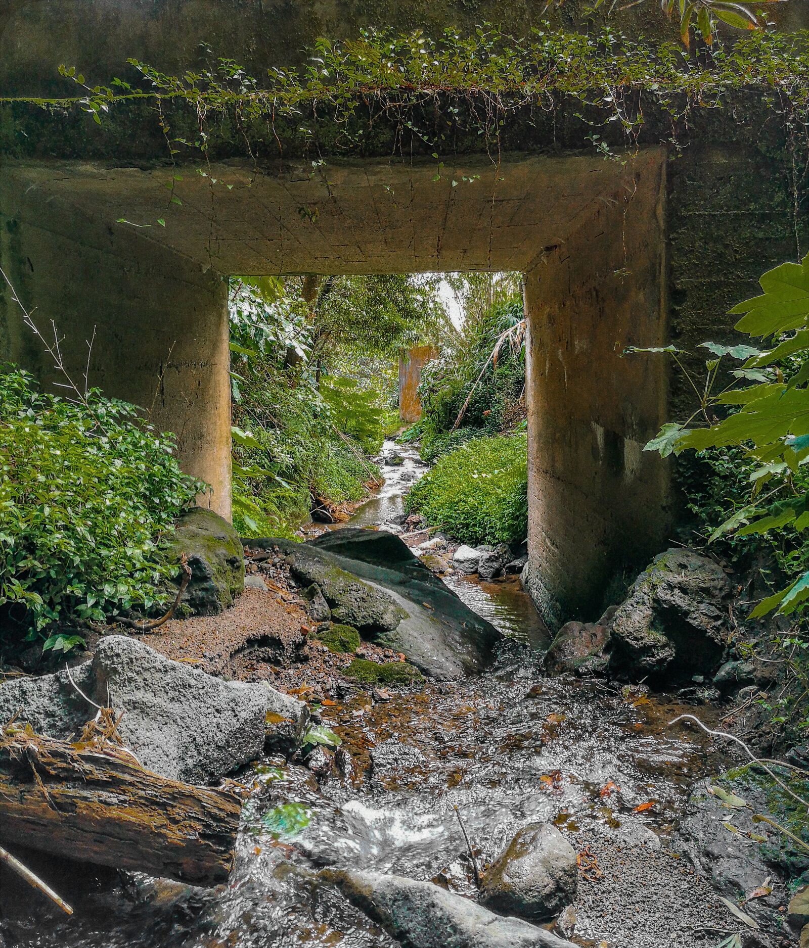 HUAWEI P20 sample photo. Nature, rock, bridge photography