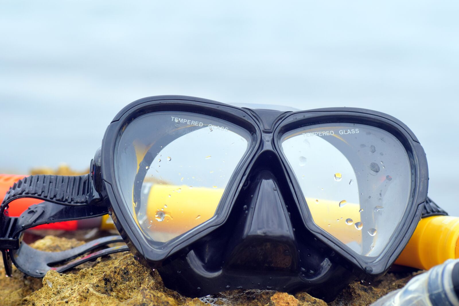Nikon D3300 sample photo. Diving mask, diving, nature photography