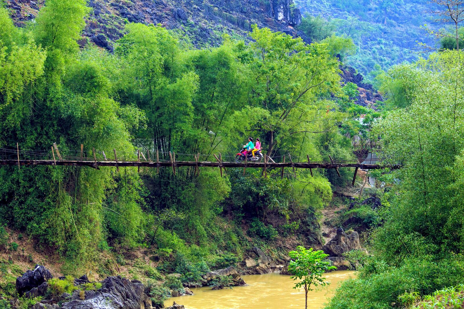 Canon EF 70-200mm F4L IS USM sample photo. Scenery, suspension bridge, tre photography