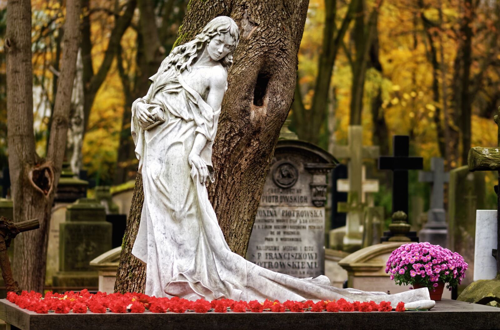 Nikon D5100 sample photo. Sculpture, art, stone photography