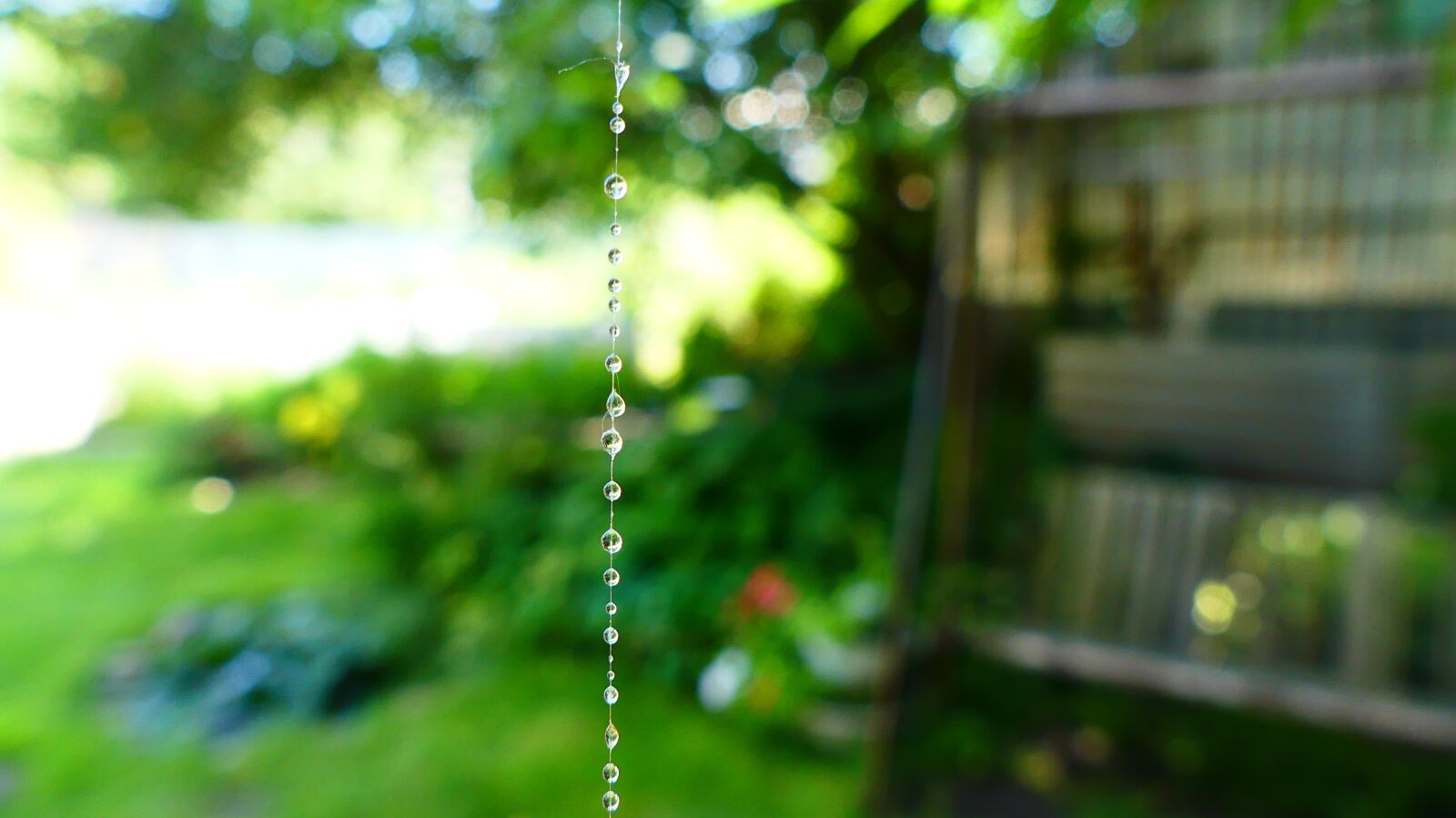 Panasonic Lumix DMC-FZ300 sample photo. Spider web, water, drops photography