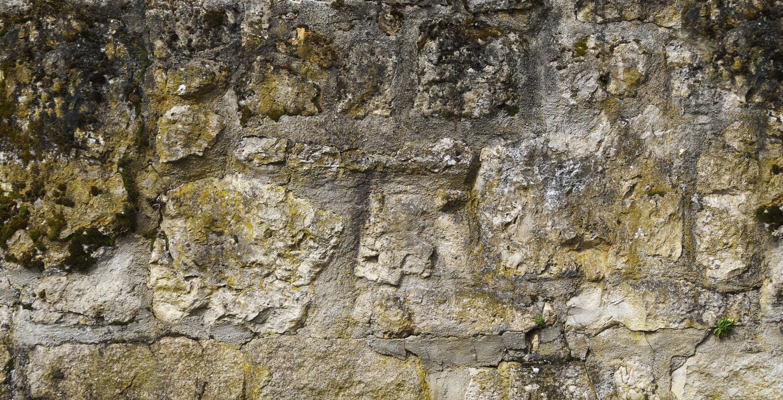Panasonic Lumix DMC-FZ1000 sample photo. Wall, quarry stone, stone photography