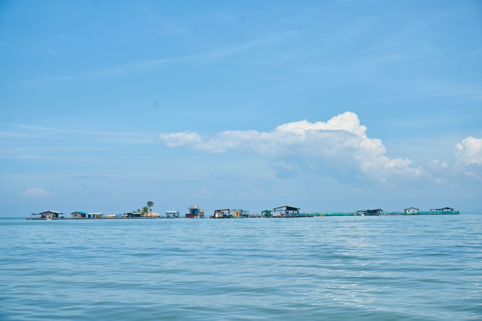 Sony a7R II sample photo. Marine, ocean, blue photography