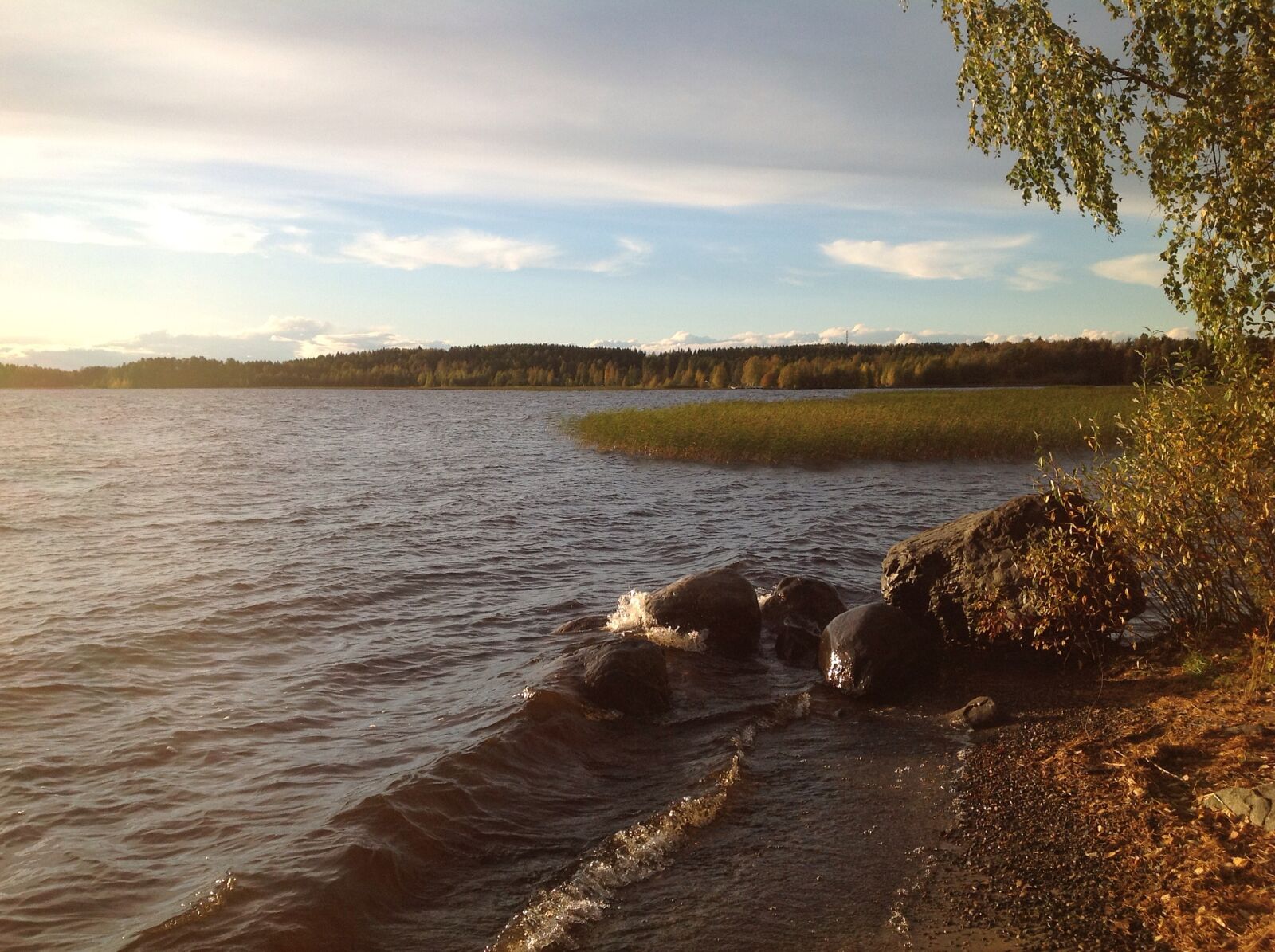 Apple iPad sample photo. Forest, lake, nature, sunset photography