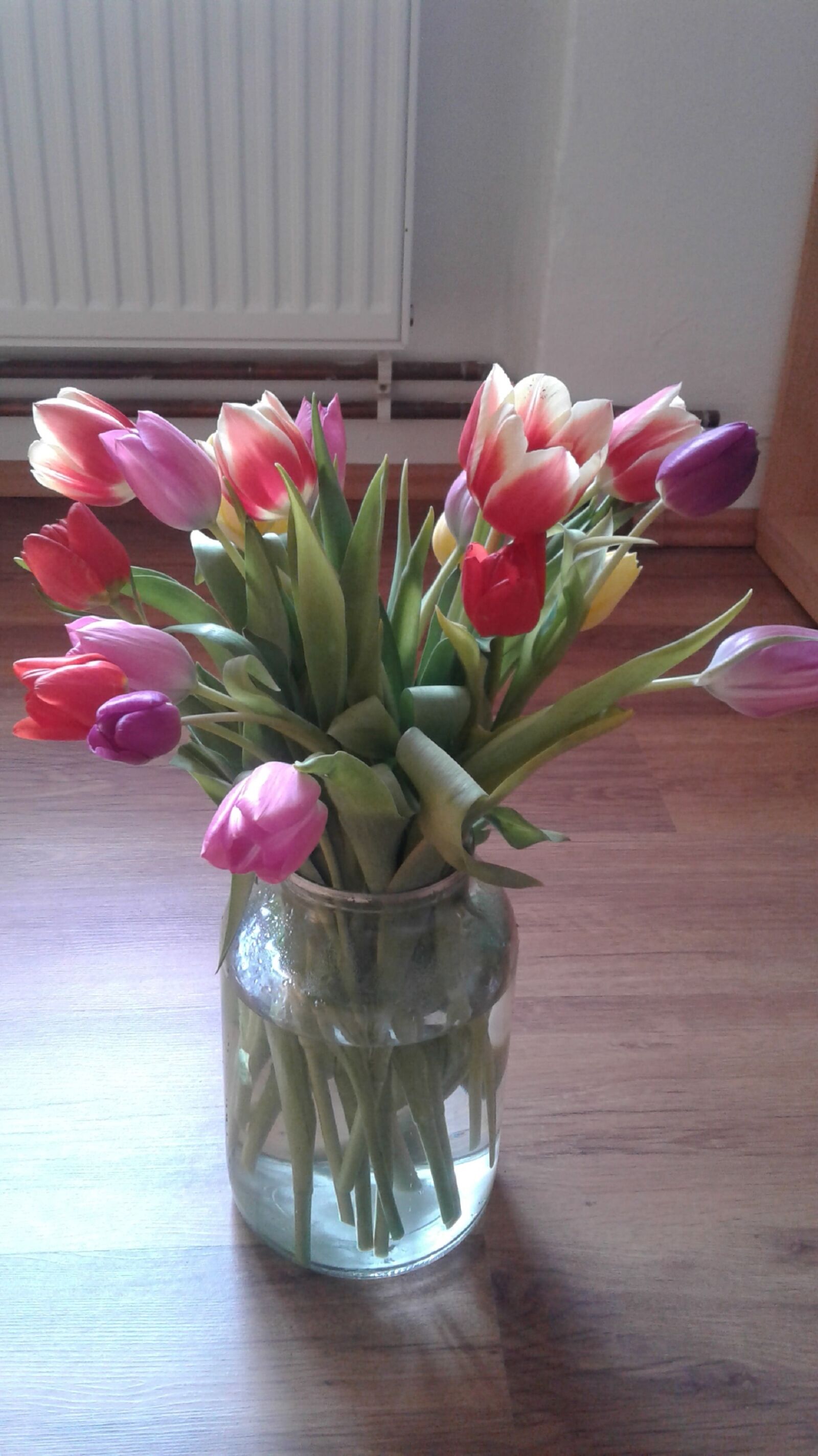Samsung Galaxy J2 sample photo. Tulips, pleasure, spring photography