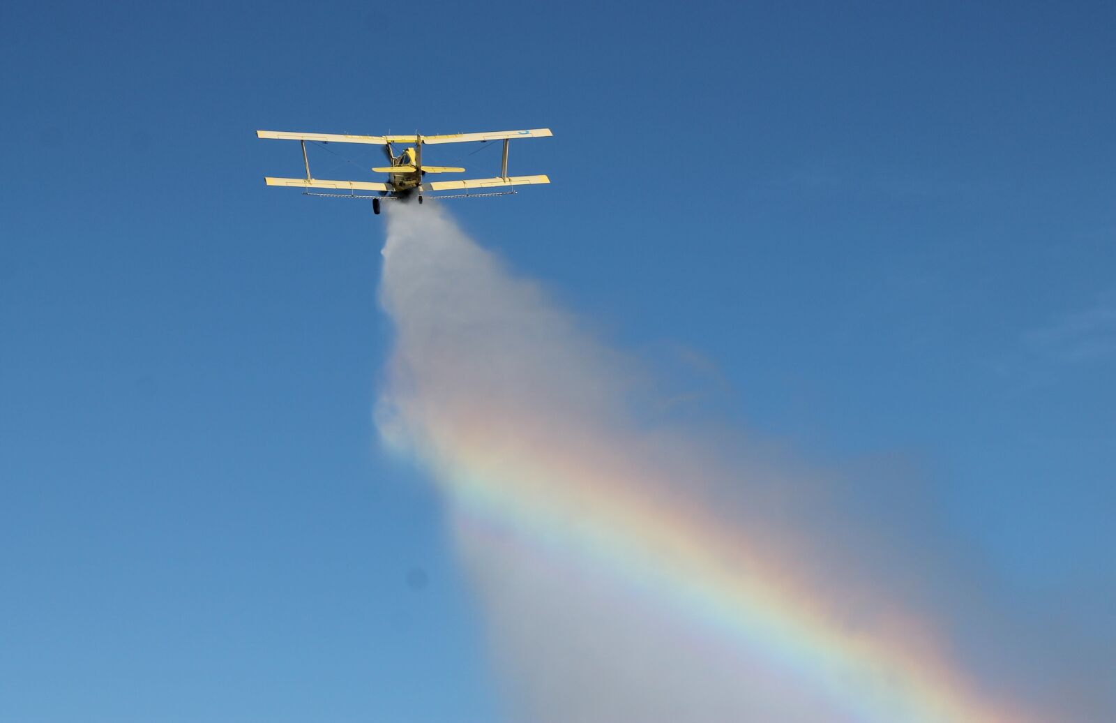 Canon EOS 1100D (EOS Rebel T3 / EOS Kiss X50) sample photo. Eg cat, crop duster photography