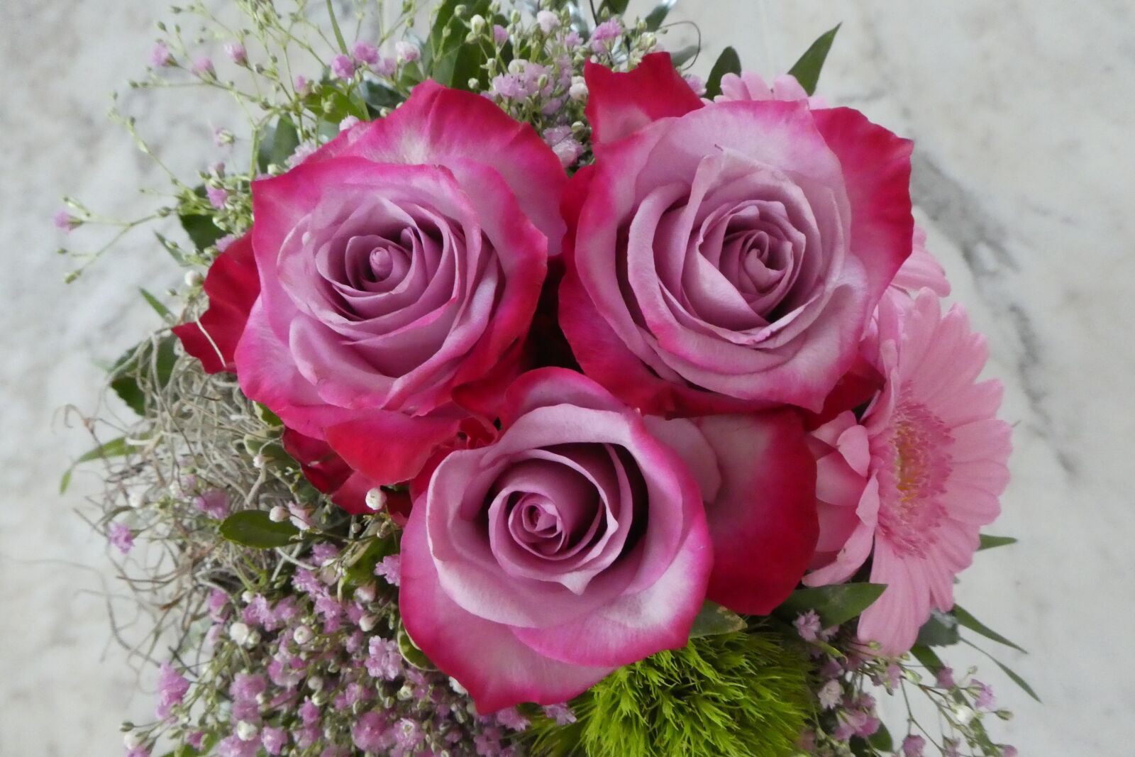 Panasonic DMC-TZ81 sample photo. Roses, bouquet, flowers photography
