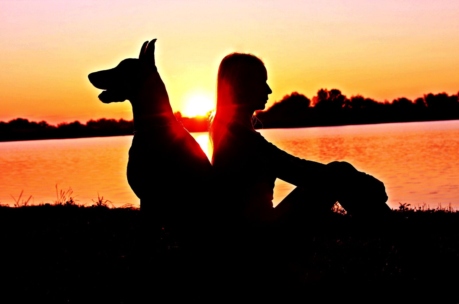 Canon EOS 600D (Rebel EOS T3i / EOS Kiss X5) sample photo. Doberman, woman, silhouette photography