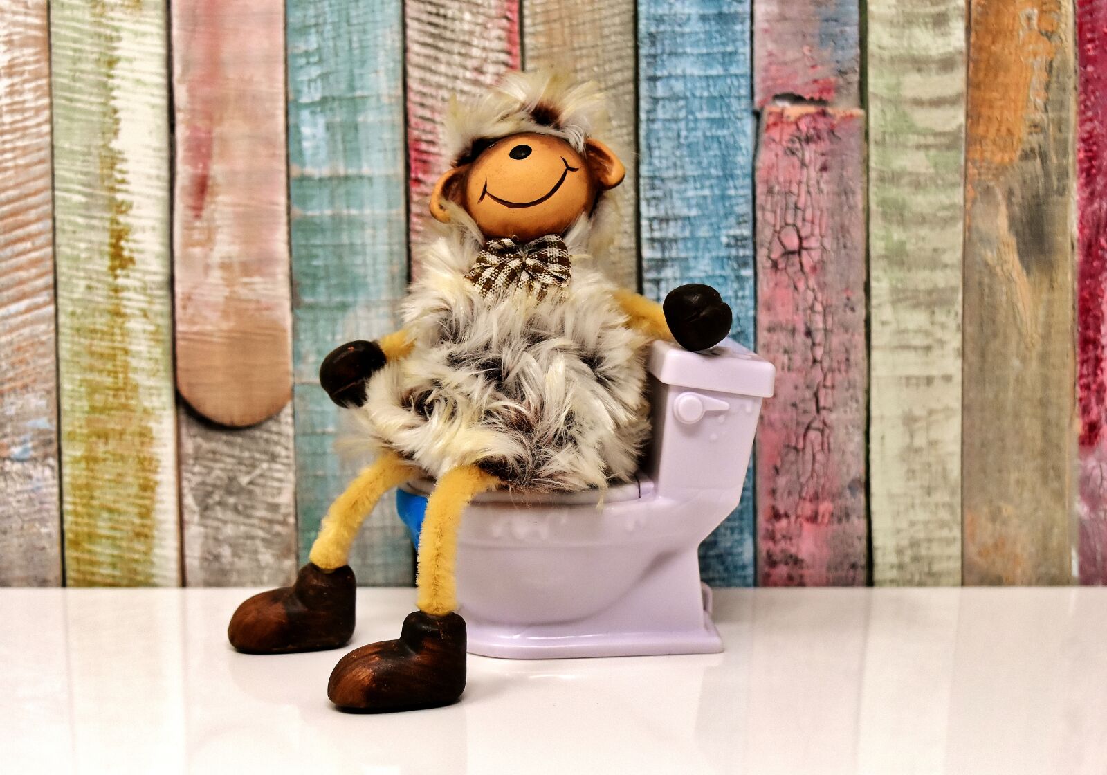 Nikon D7200 sample photo. Toilet, sheep, figure photography