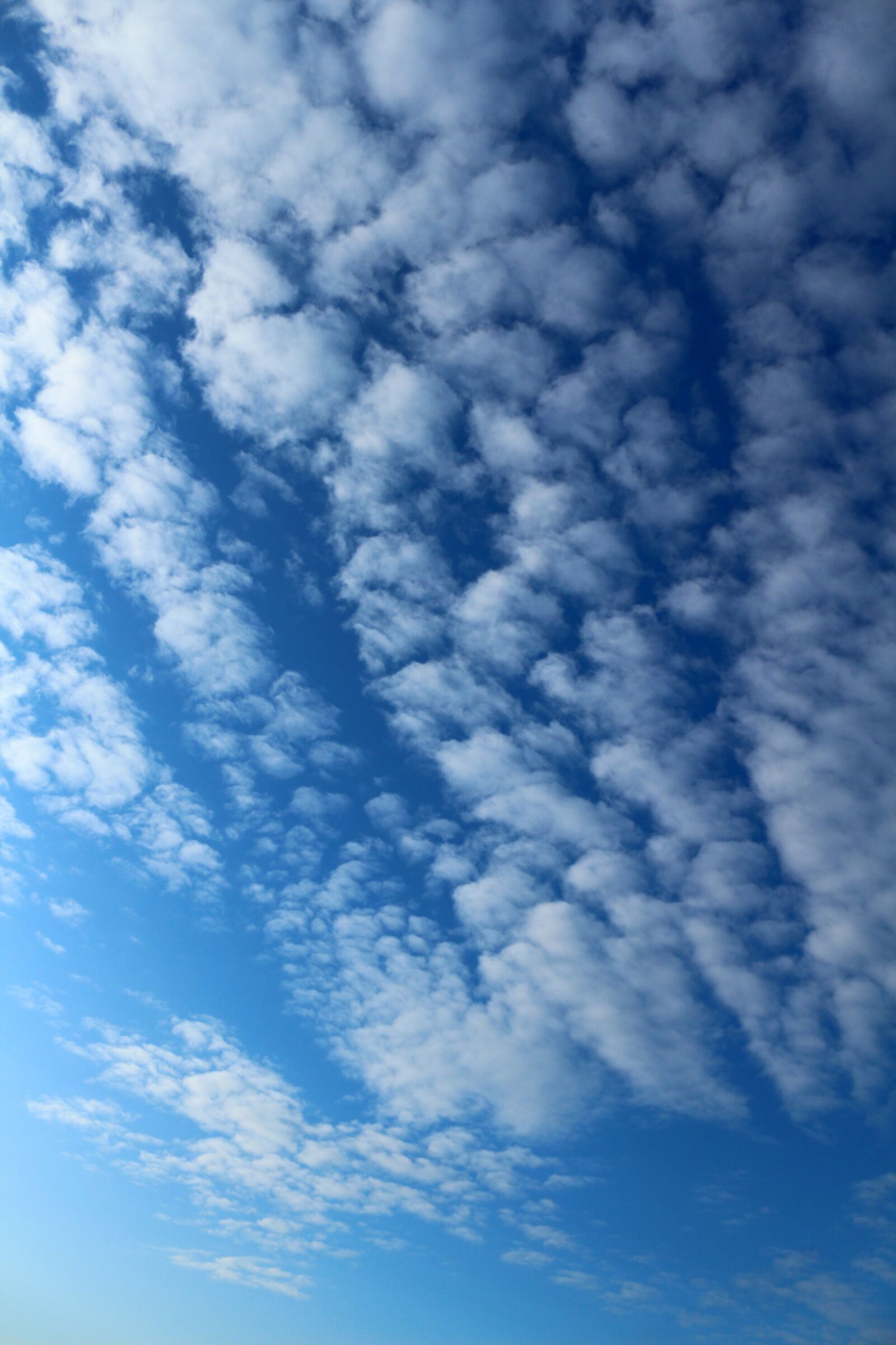 Canon EOS 650D (EOS Rebel T4i / EOS Kiss X6i) sample photo. Russia, saratov, sky photography