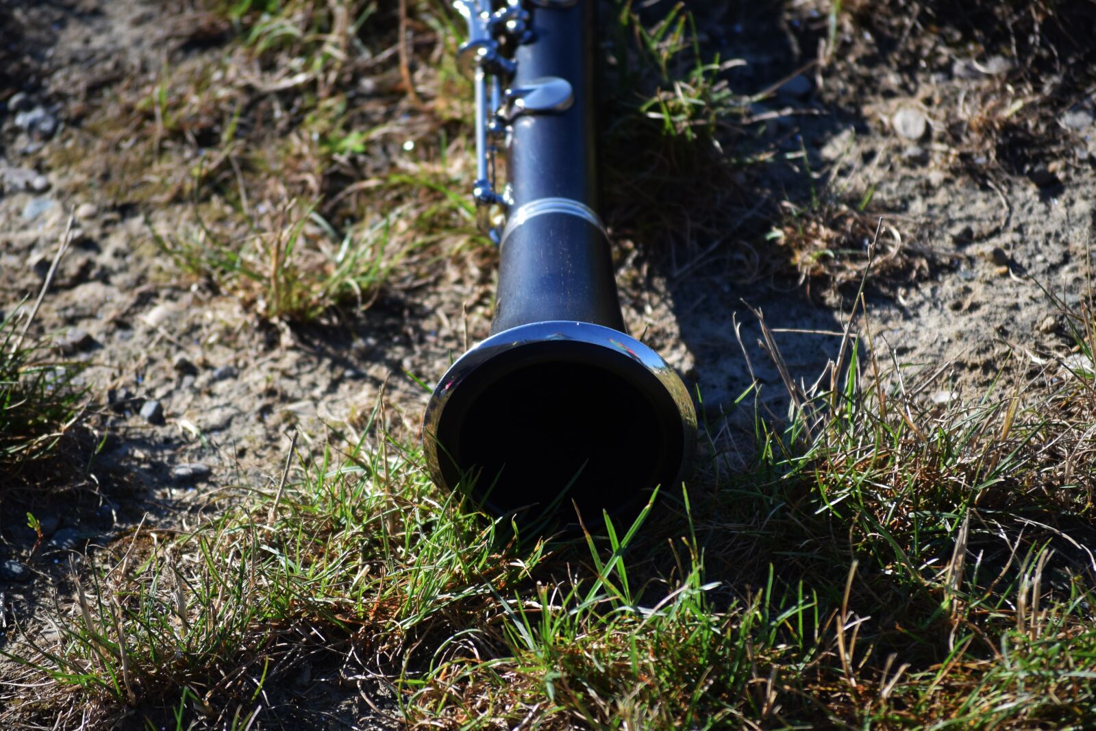 Nikon D3300 sample photo. Music, instrument, musical instruments photography