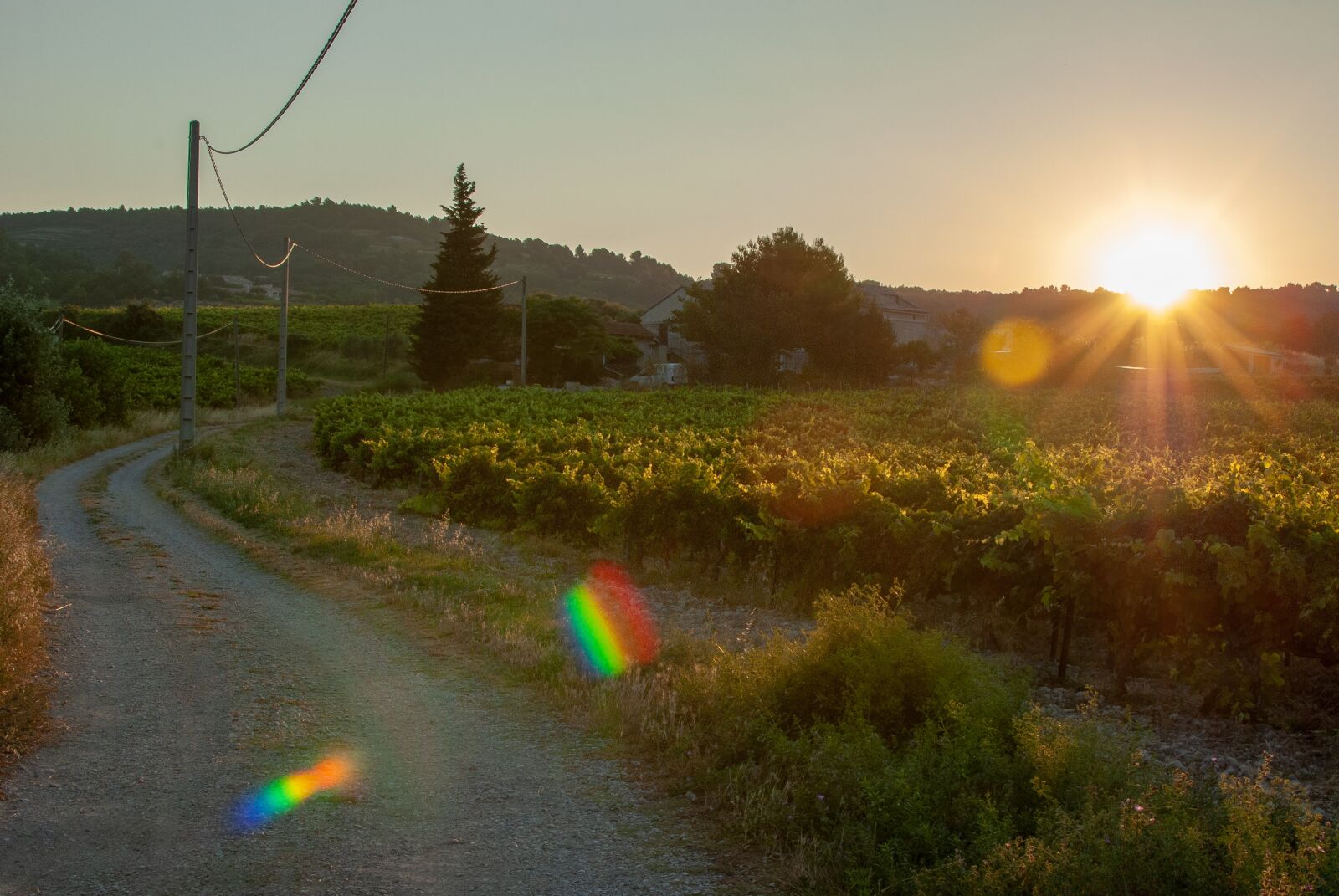 Nikon D80 sample photo. Cairanne, french, vaucluse photography