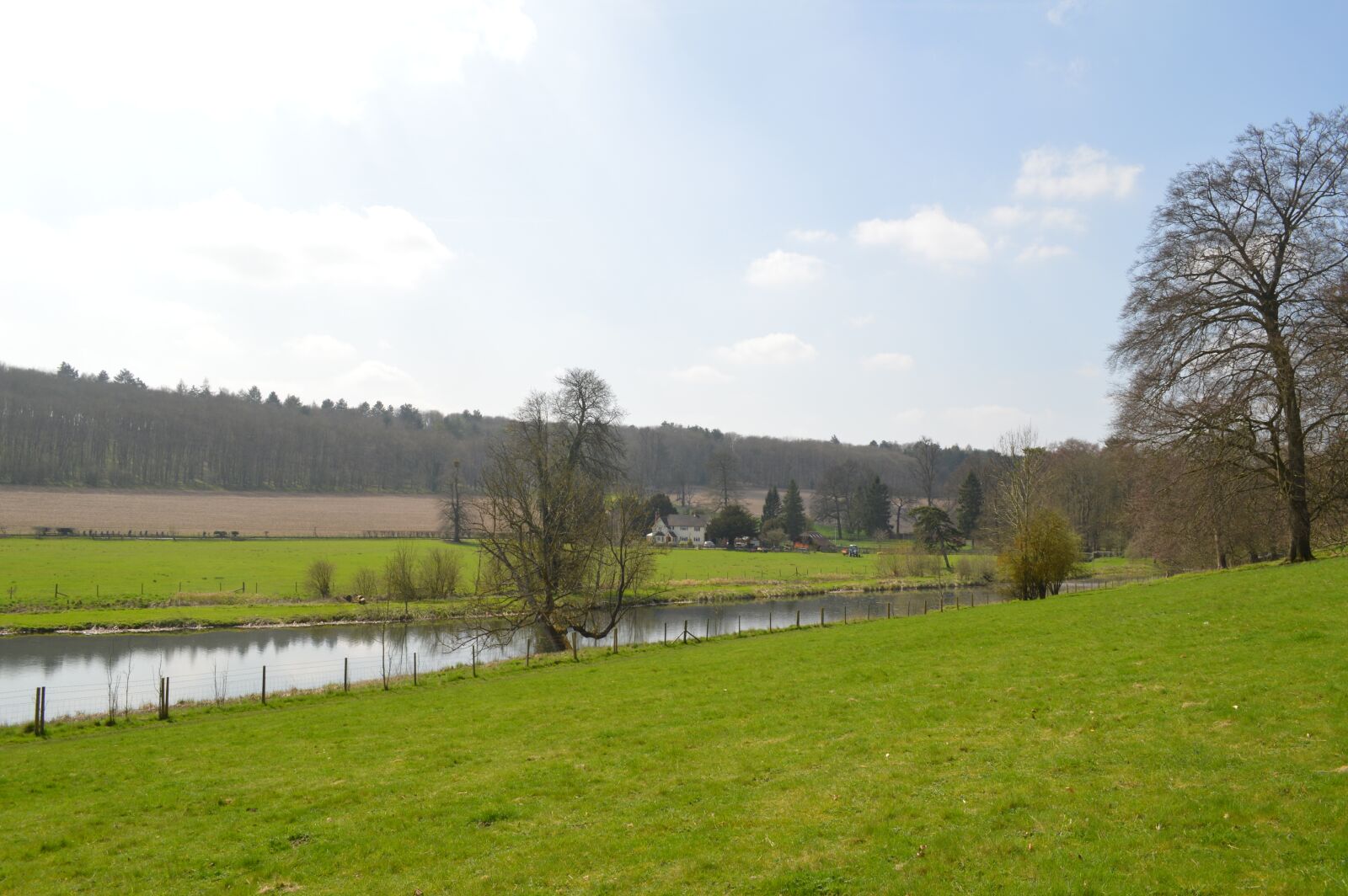 Nikon D3200 sample photo. Grass, nature, tree photography