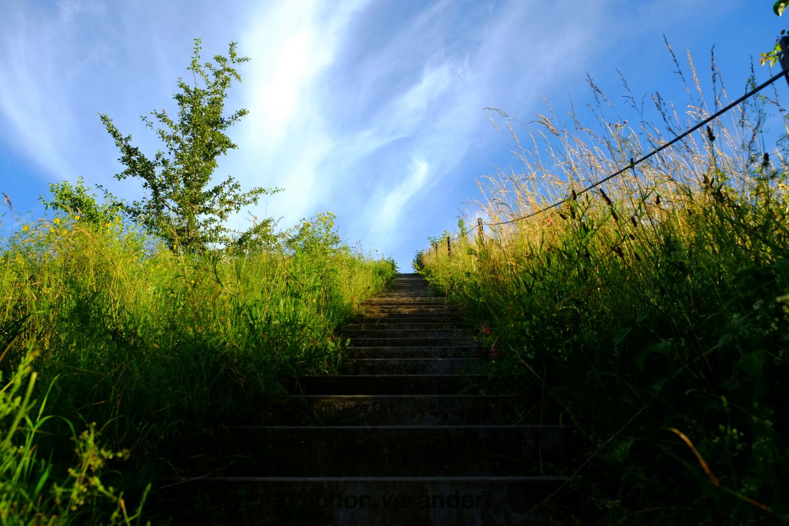 Fujifilm X-E1 sample photo. Stairs, gradually, emergence photography