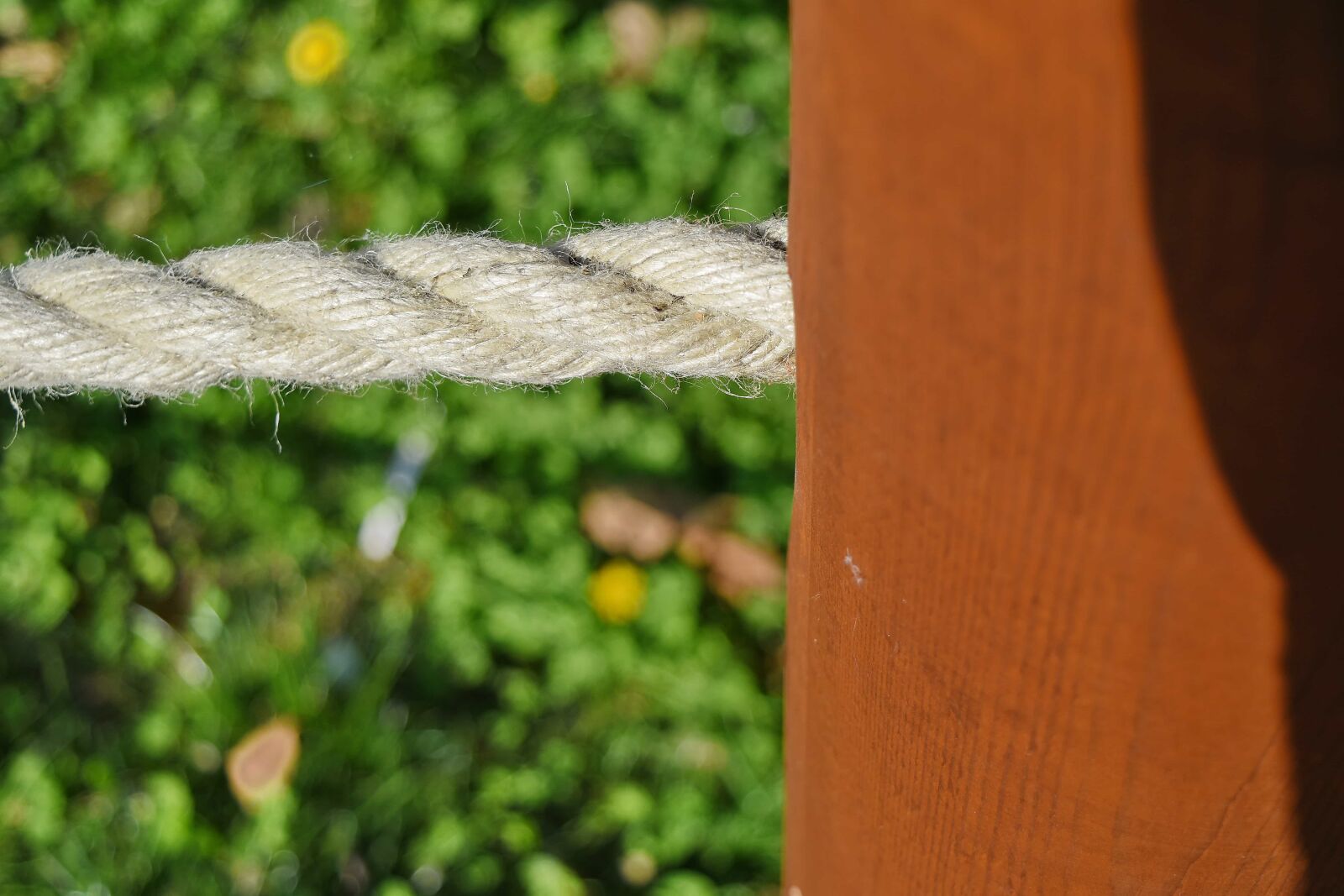 Nikon D5500 sample photo. Wood, rope, nature, outdoors photography
