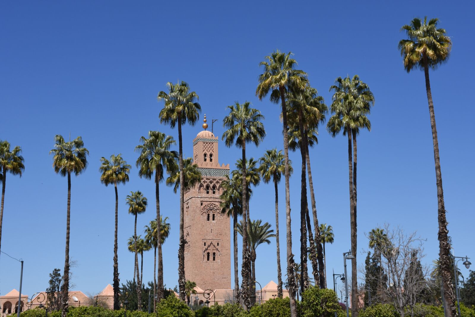 Nikon D7200 sample photo. Minaret, palm trees, travel photography