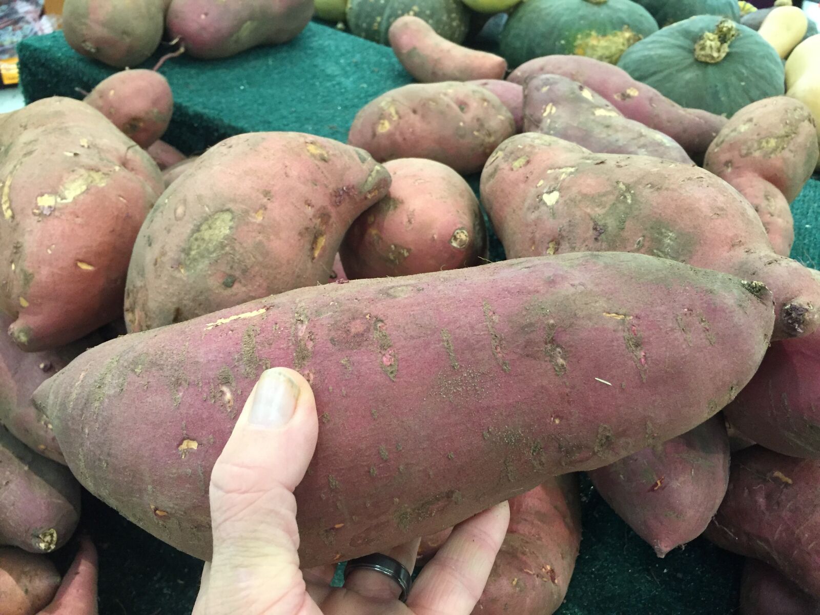 Apple iPhone 6 sample photo. Sweet, potato, vegetable photography