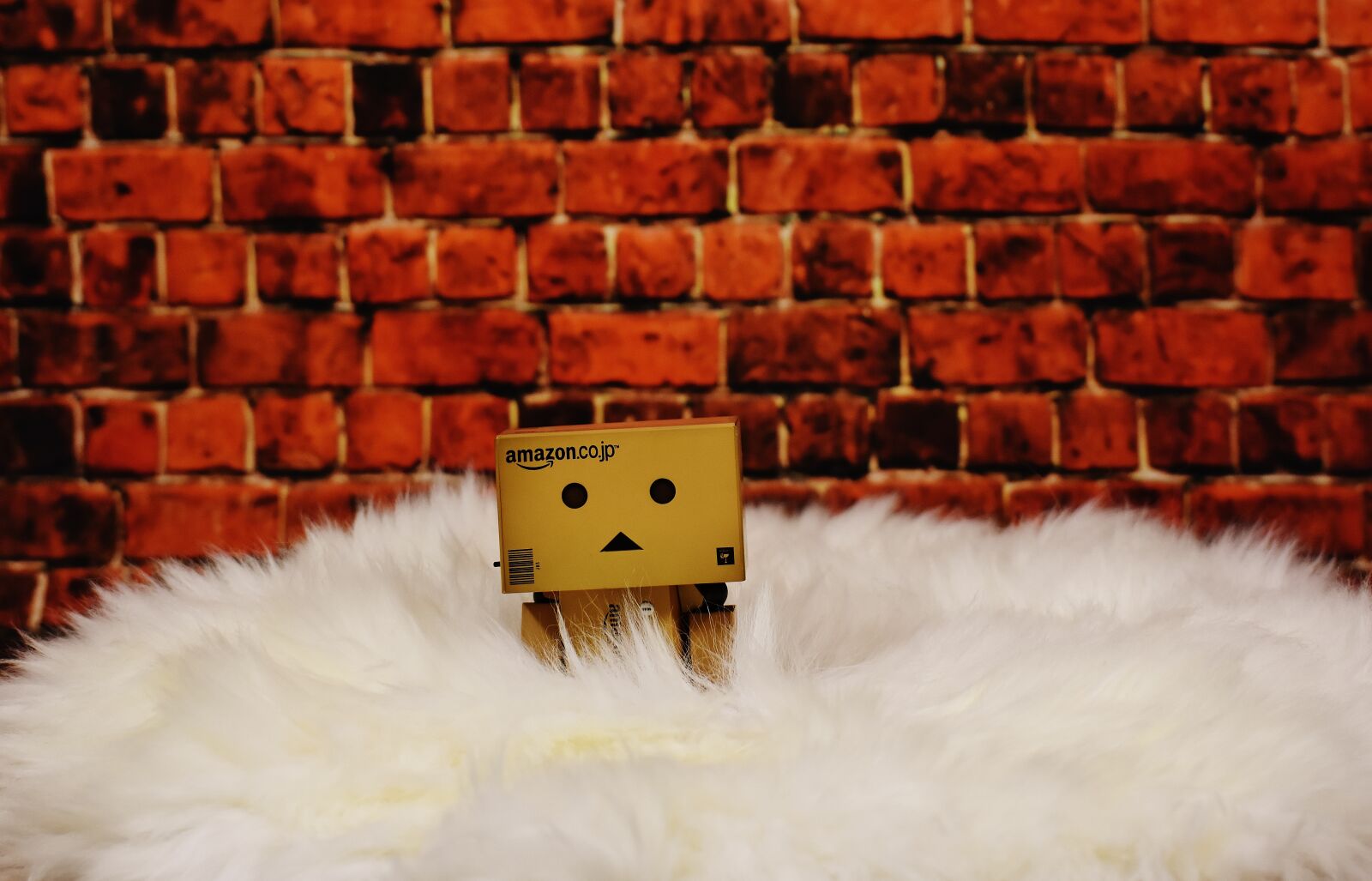 Nikon D7200 sample photo. Danbo, fur, cute photography