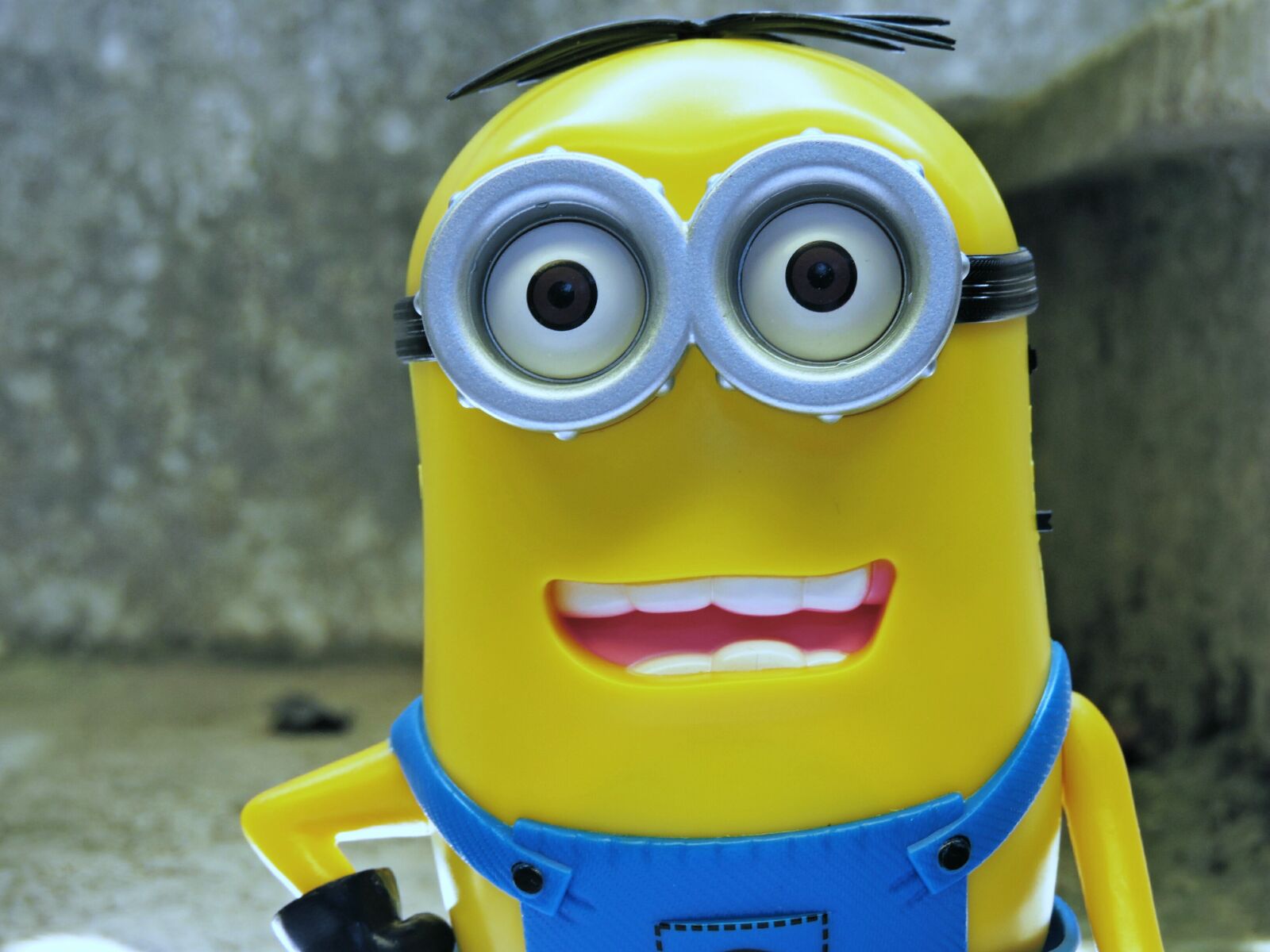 Nikon Coolpix P600 sample photo. Minions, favorito, villano photography