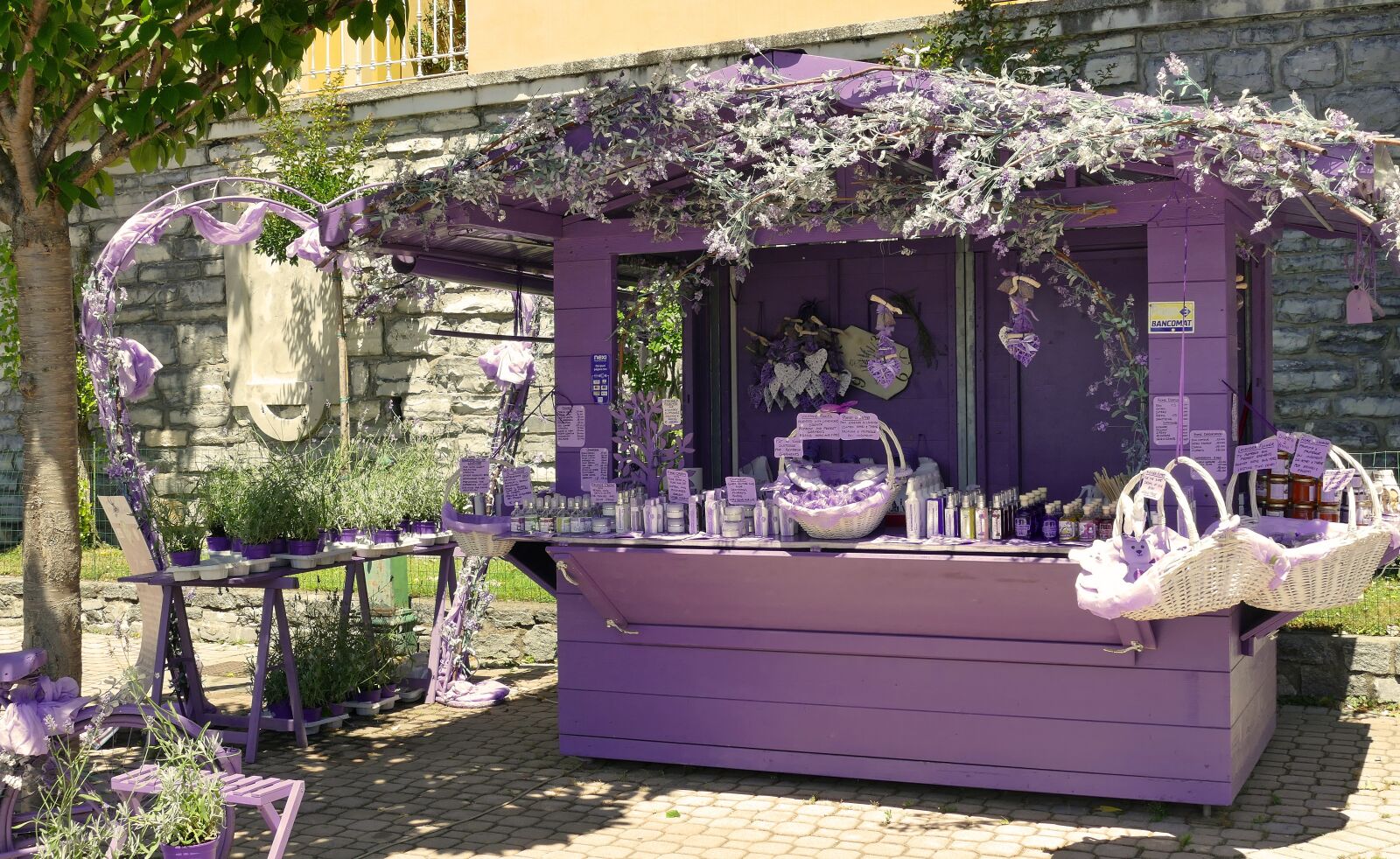 Panasonic Lumix DMC-FZ1000 sample photo. Lavender, business, music photography