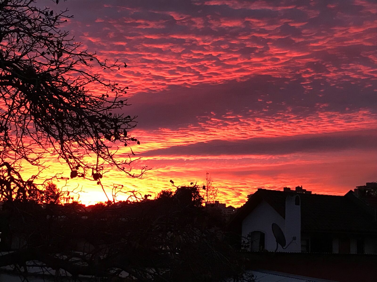 Apple iPhone 7 sample photo. Evening in autumn, sky photography