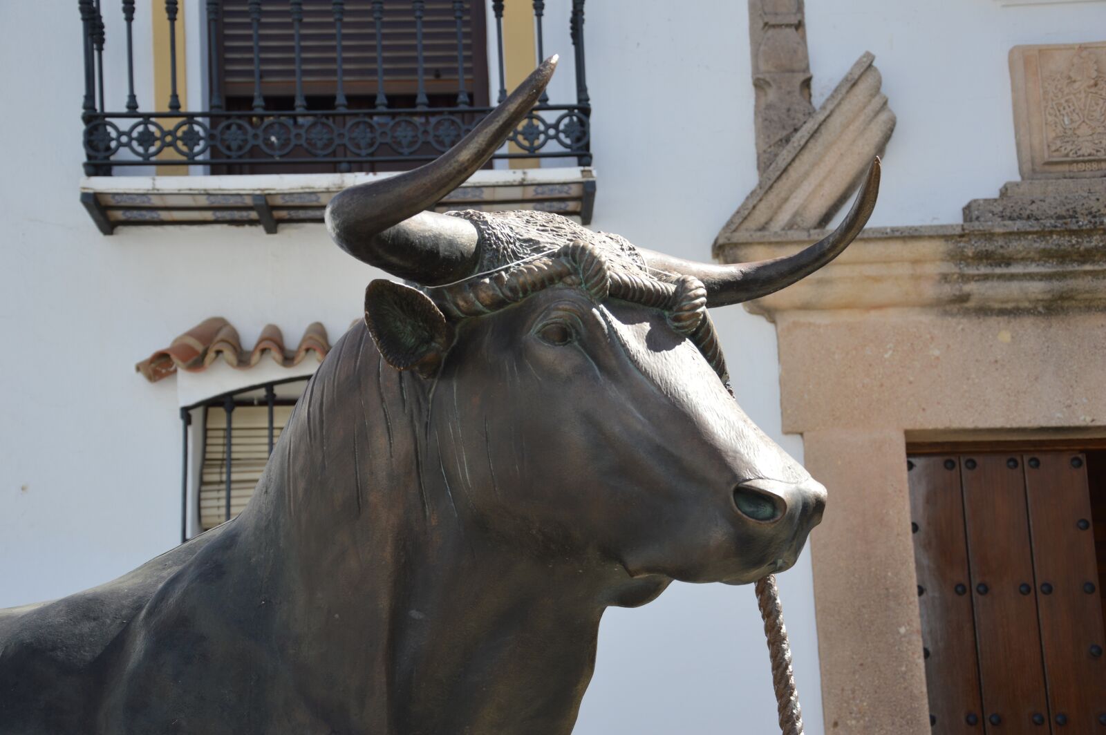 Nikon D3200 sample photo. Bull fighting, bull, monument photography