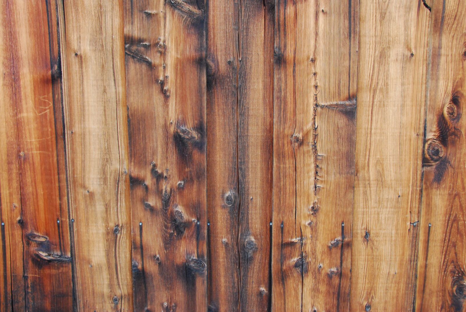Nikon D60 sample photo. Fence, wood, lumber photography