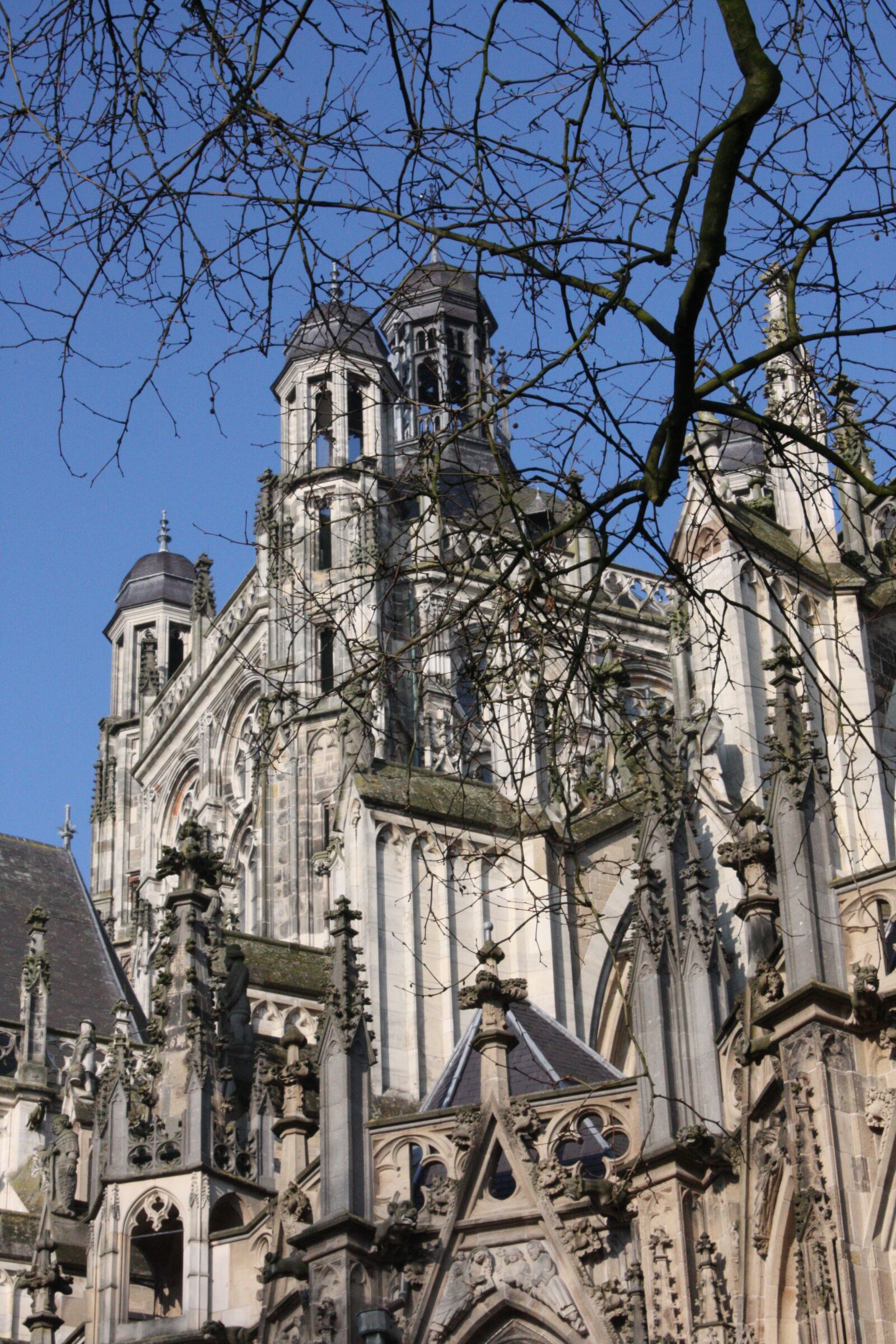 Canon EOS 450D (EOS Rebel XSi / EOS Kiss X2) sample photo. Den bosch, netherlands, cathedral photography