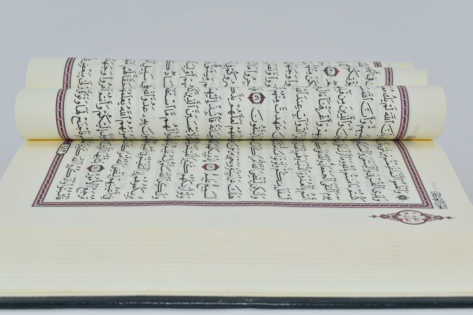 Nikon D5500 sample photo. Arabic, book, language, study photography