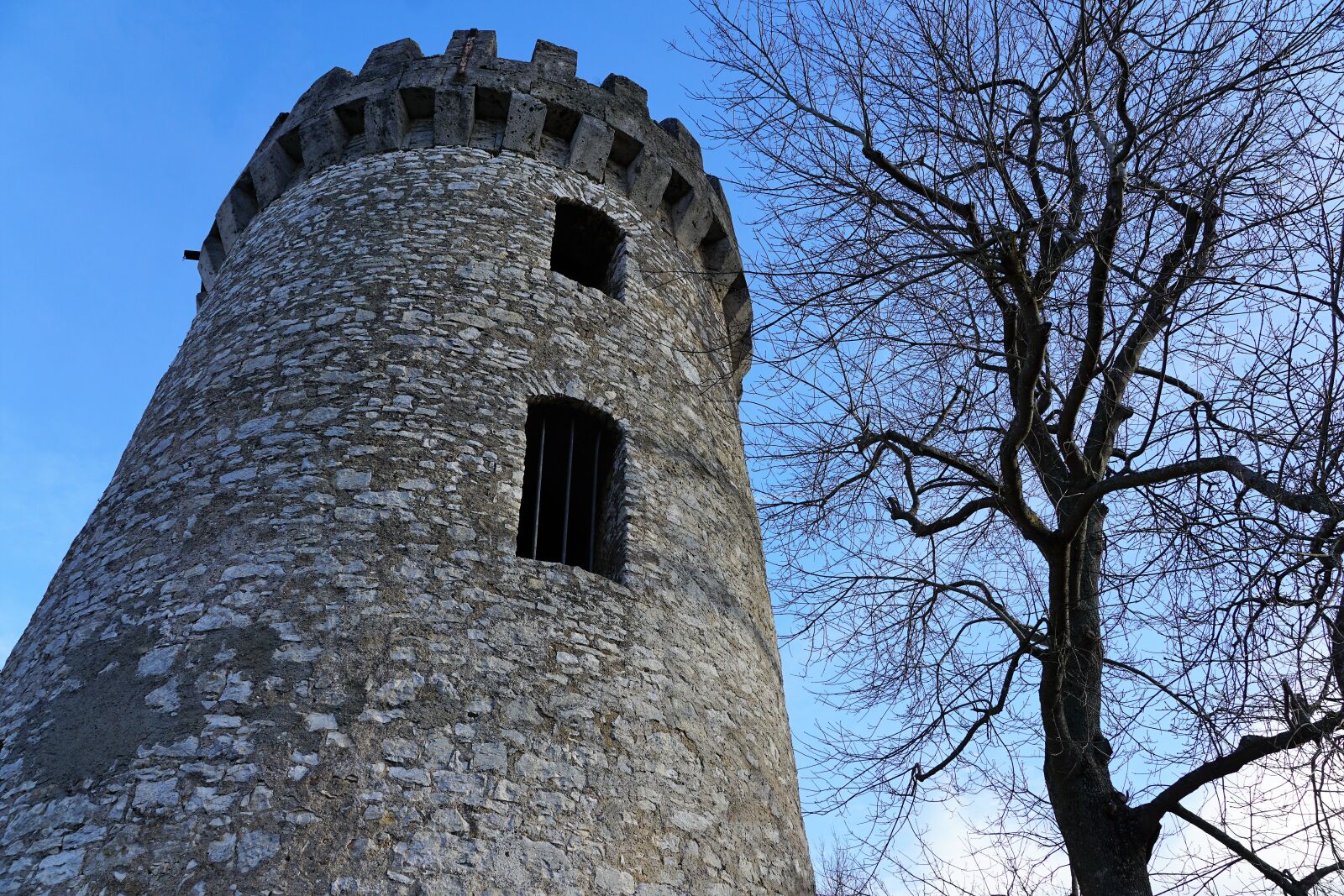 Sony ILCA-77M2 + Sony DT 16-50mm F2.8 SSM sample photo. Architecture, palace, gothic photography