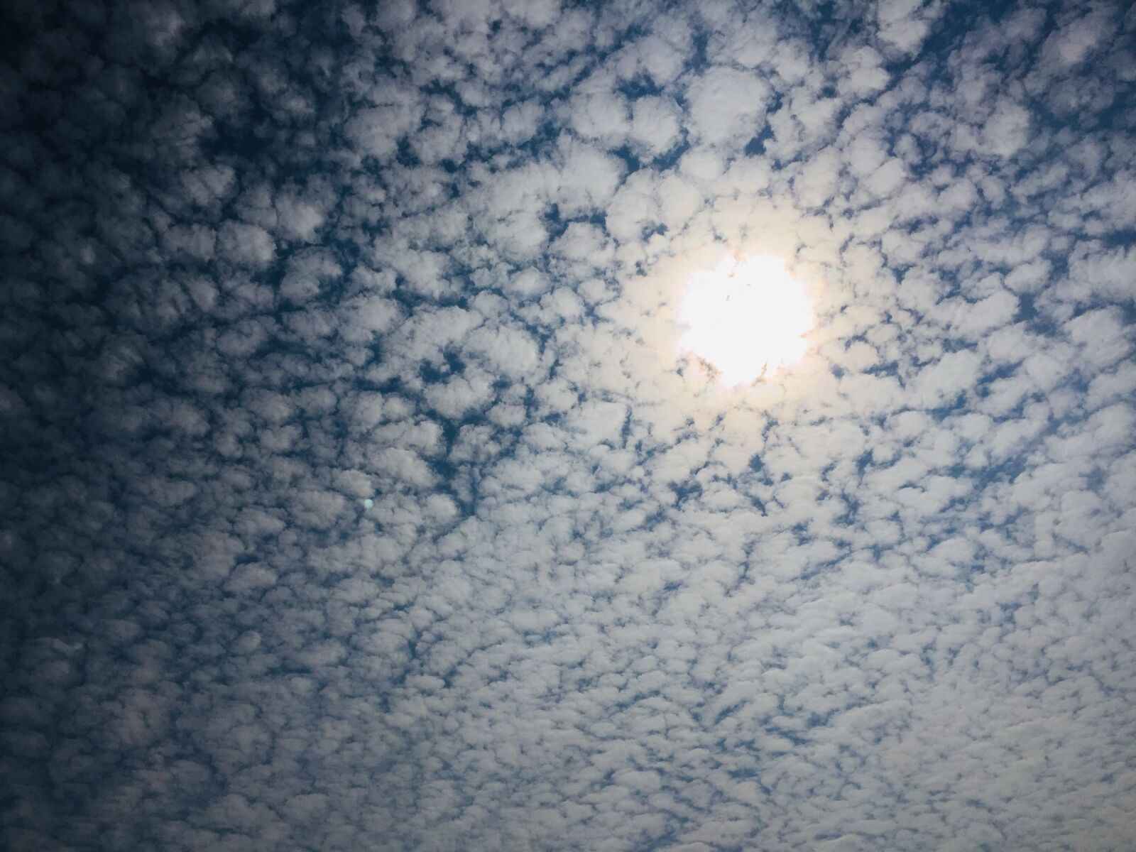 Apple iPhone 6 sample photo. Sun, cloud, white yun photography