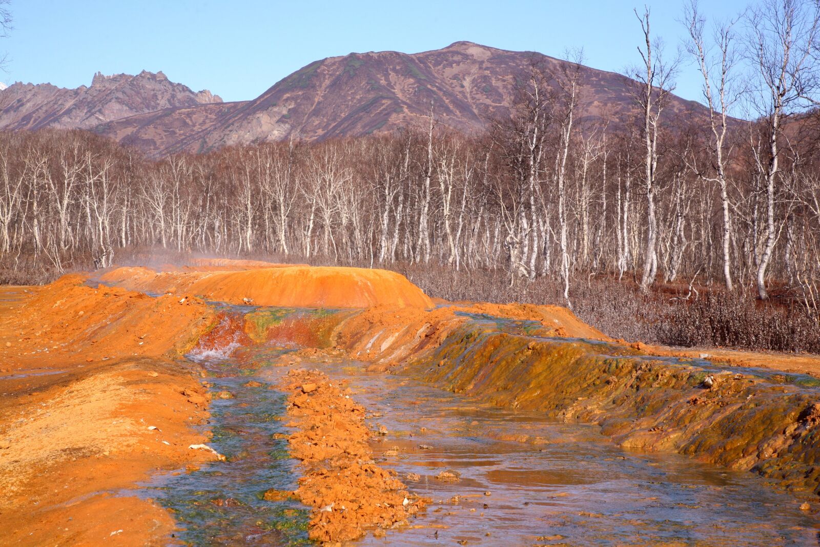 Canon EOS 5D sample photo. Hot spring, forest, mountains photography