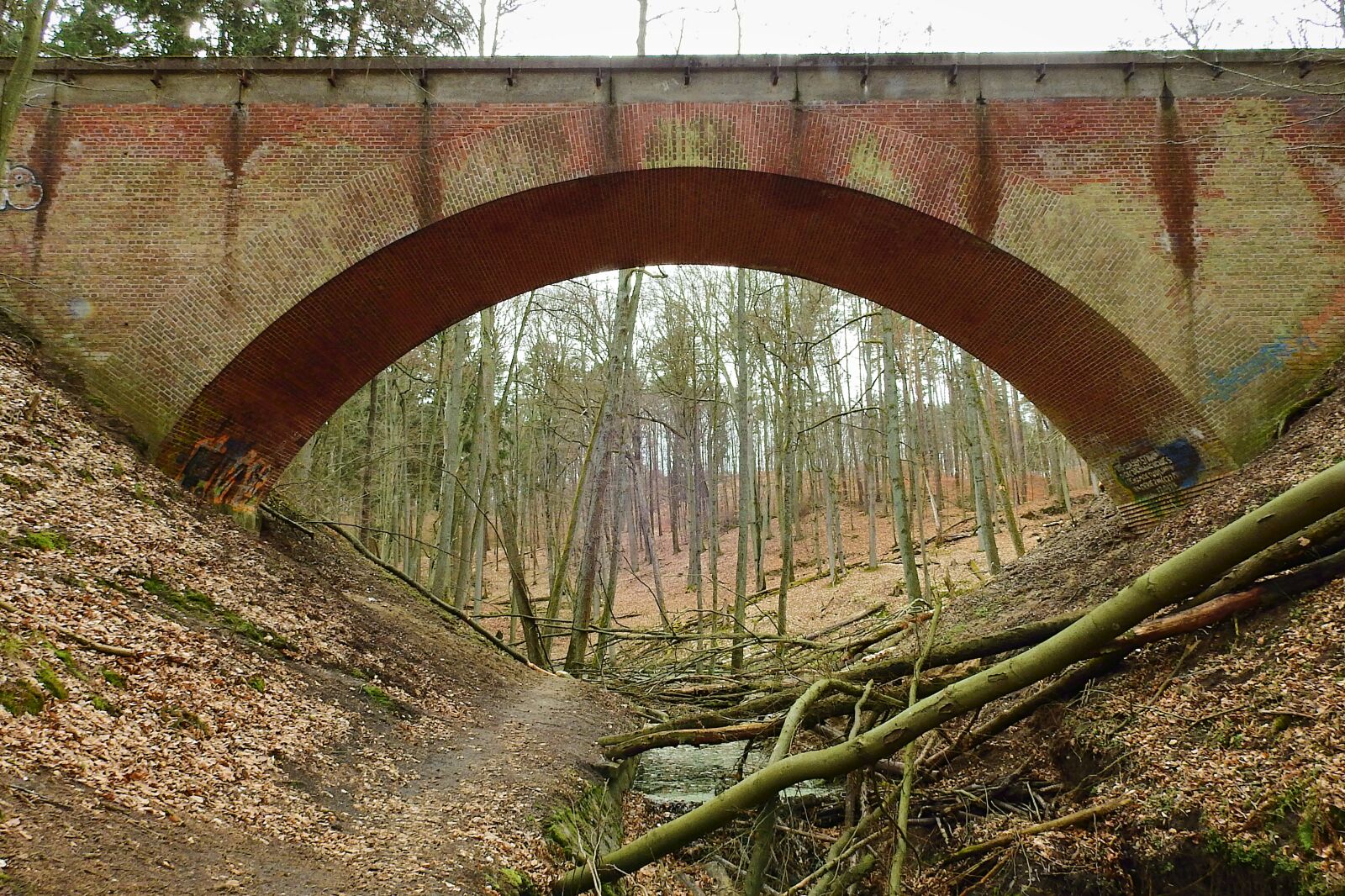 Nikon Coolpix P900 sample photo. Railway bridge, forest, torrent photography