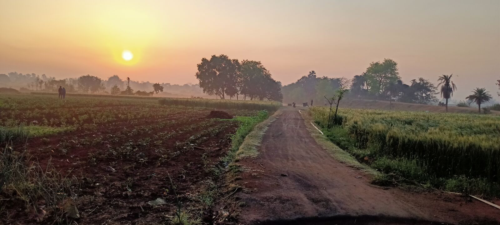 Realme RMX2001 sample photo. Sunrise, scenery, morning scene photography