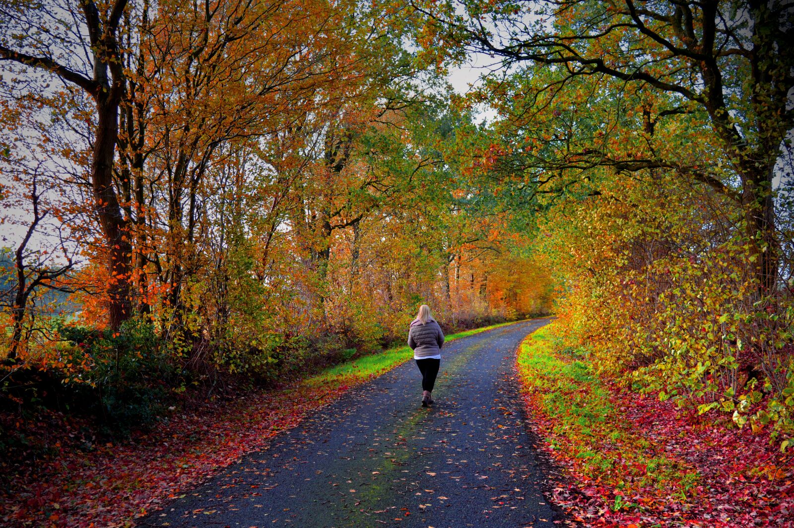 Nikon D3200 sample photo. Autumn mood, walk, alone photography
