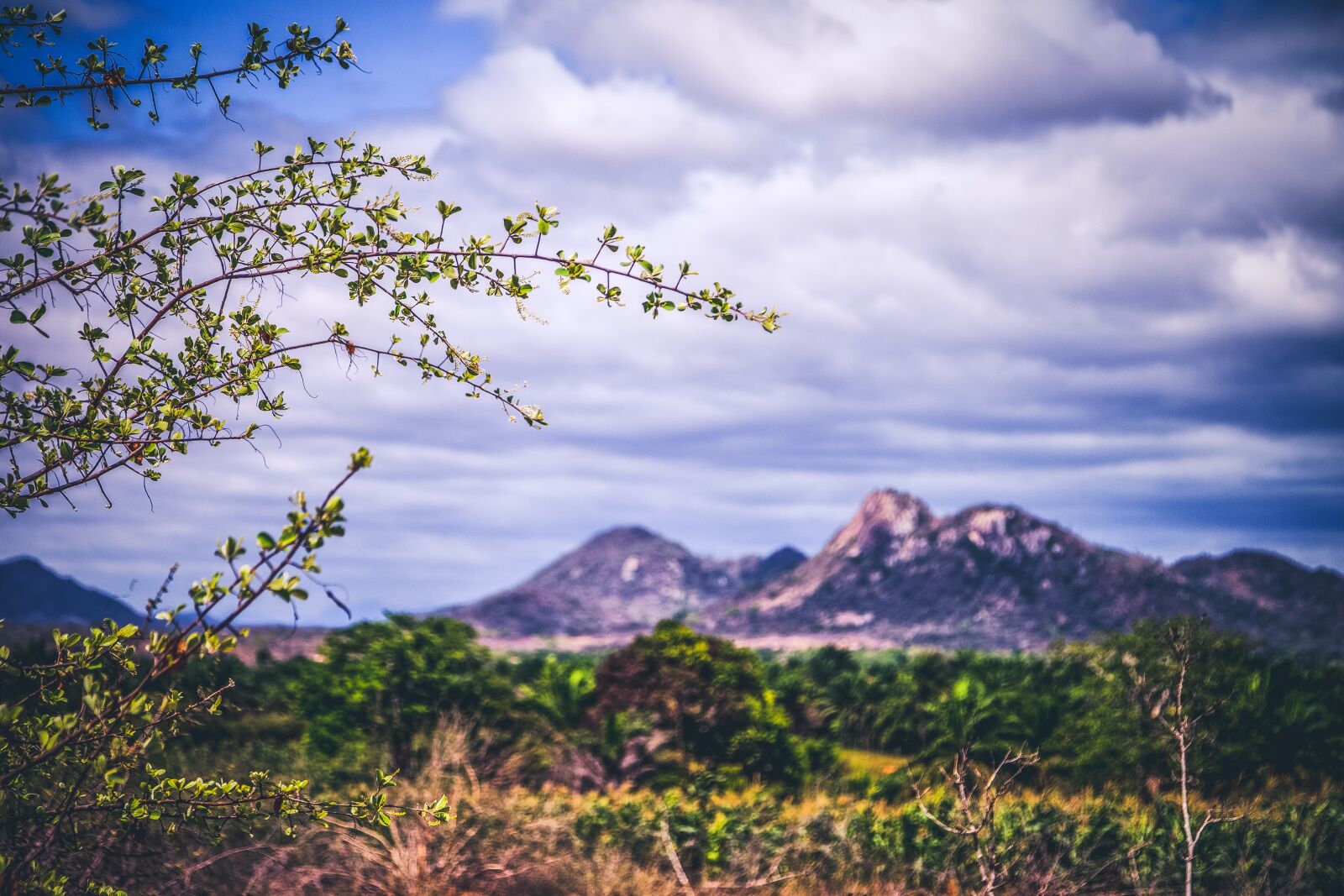 Canon EOS 5D Mark II sample photo. Mountain, nature, flying photography