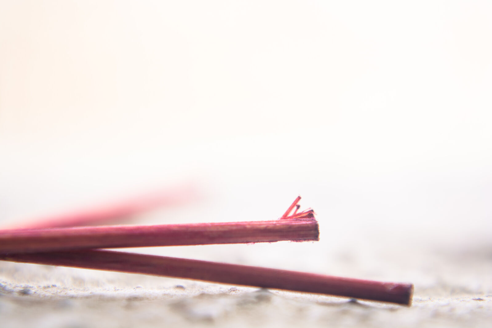 Nikon D5200 sample photo. Blur, close, up, view photography