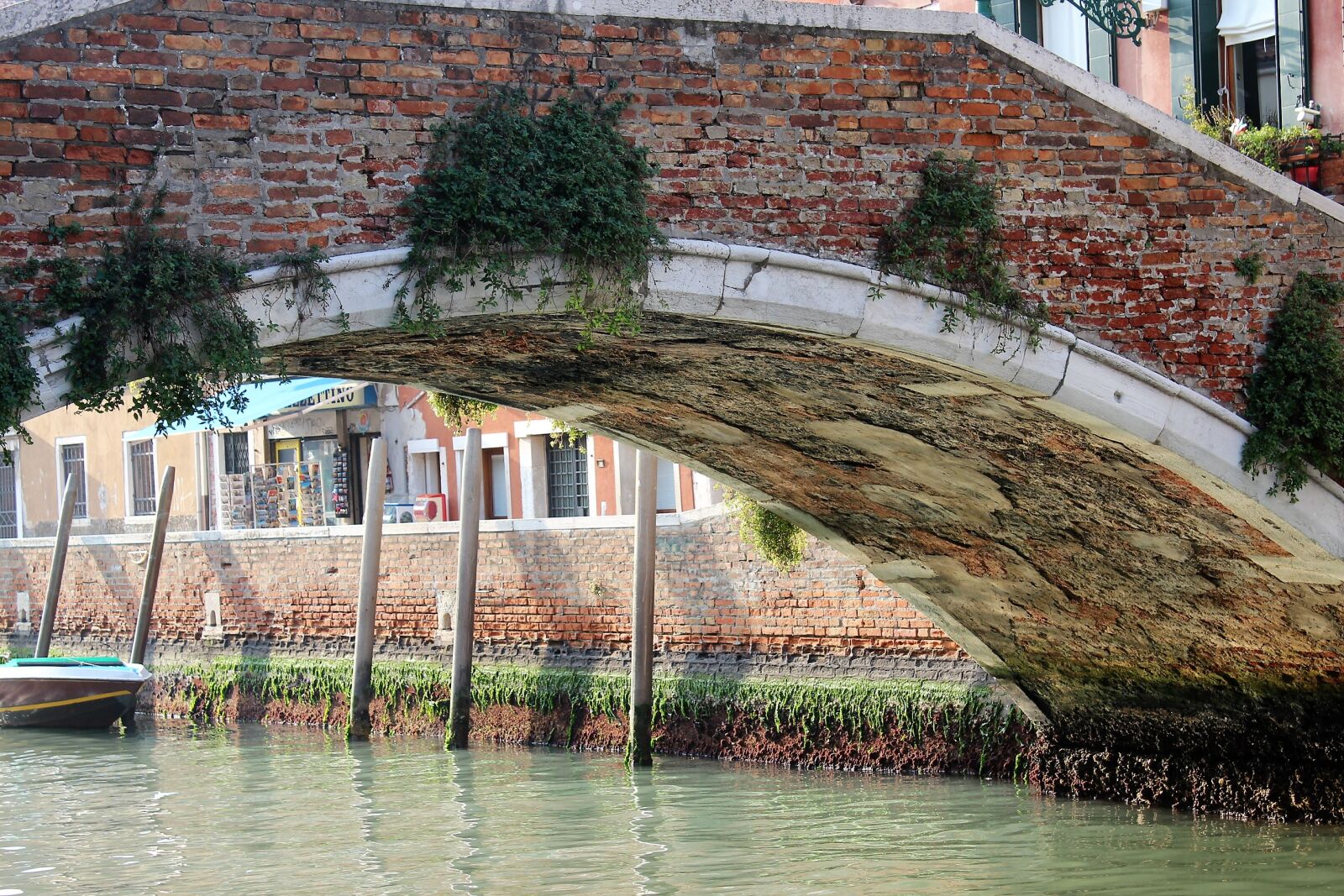 Canon EOS 600D (Rebel EOS T3i / EOS Kiss X5) sample photo. Bridge, venice photography