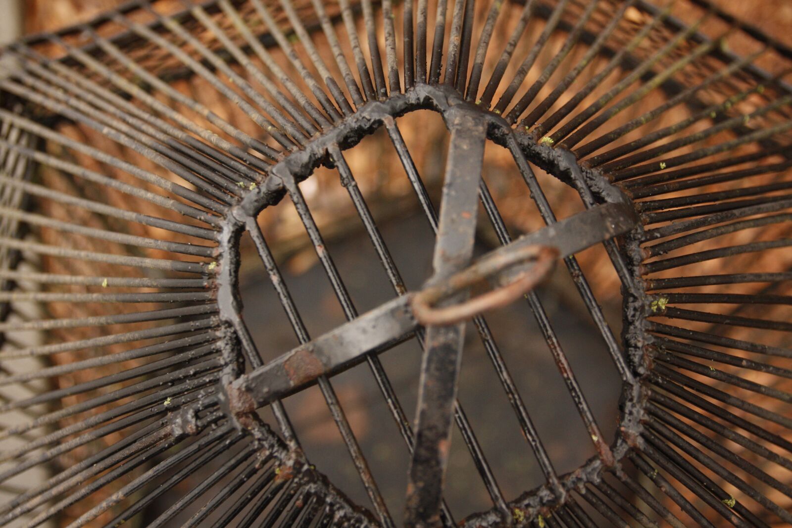 Canon EOS 450D (EOS Rebel XSi / EOS Kiss X2) sample photo. Birdcage, birds, vintage photography
