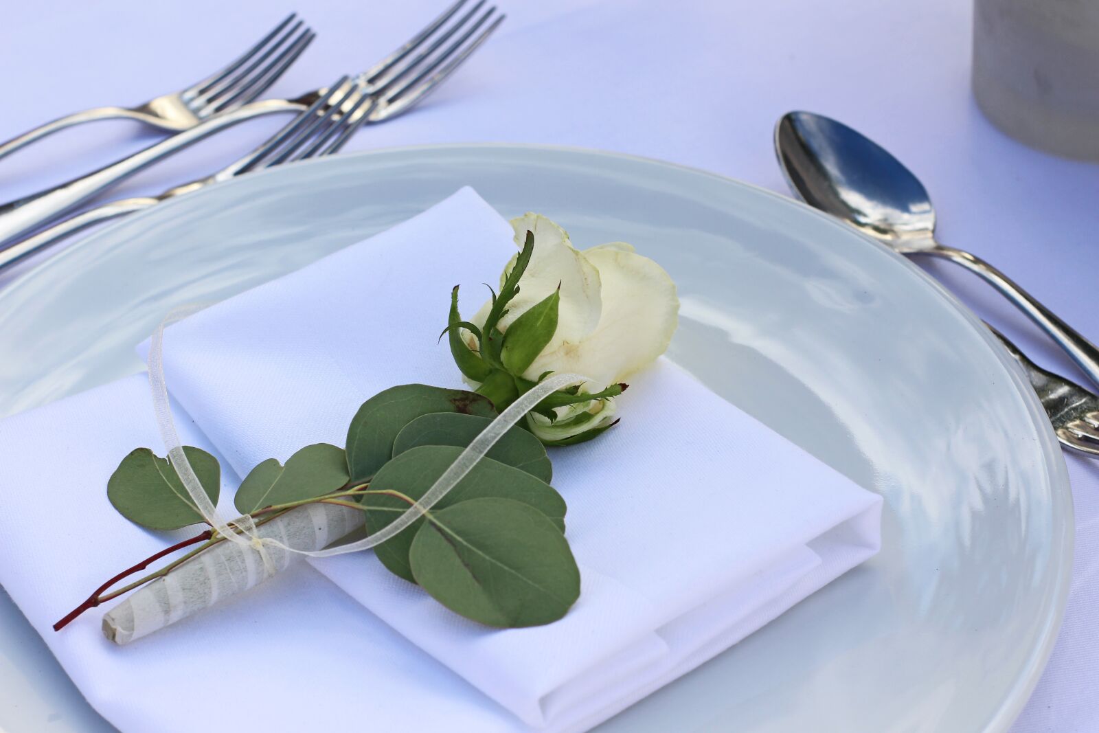 Canon EOS 700D (EOS Rebel T5i / EOS Kiss X7i) sample photo. Gedeckter table, board, festival photography