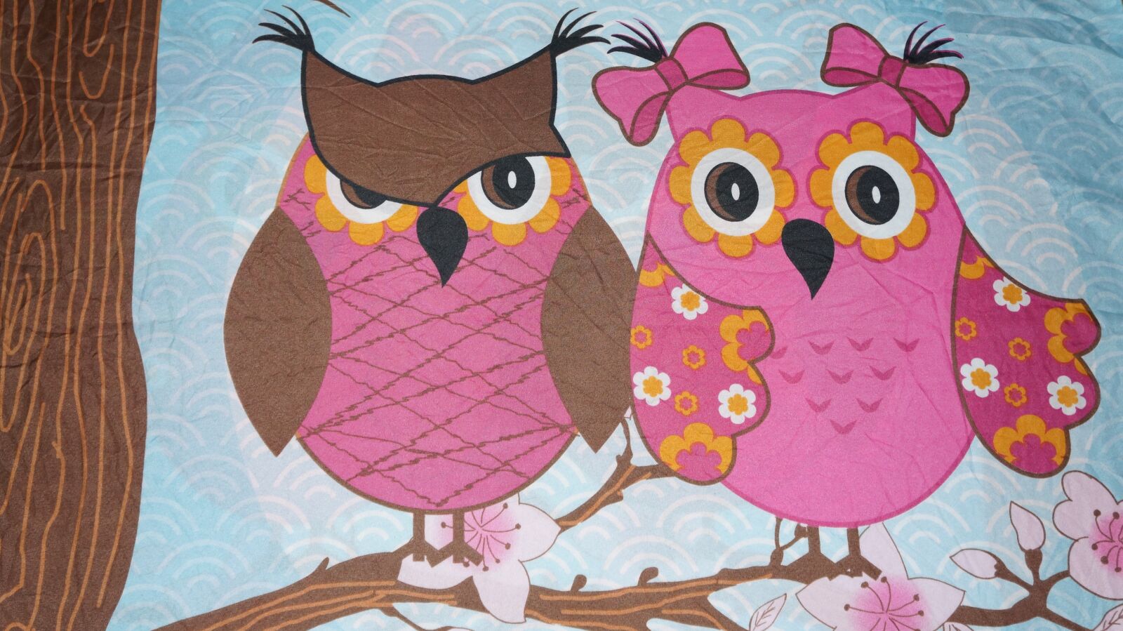 Sony Alpha a3000 + Sony E 18-55mm F3.5-5.6 OSS sample photo. Background, texture, owls photography