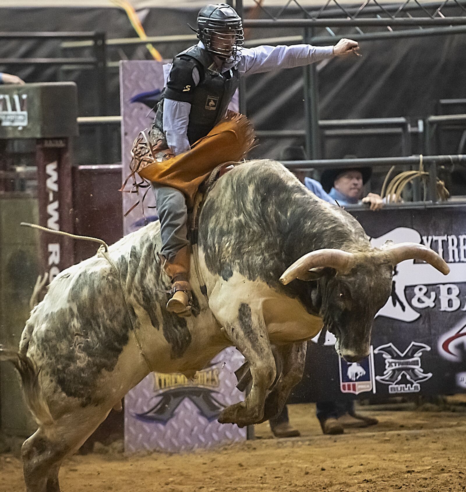 Nikon D850 sample photo. Bull, bull riding, rodeo photography