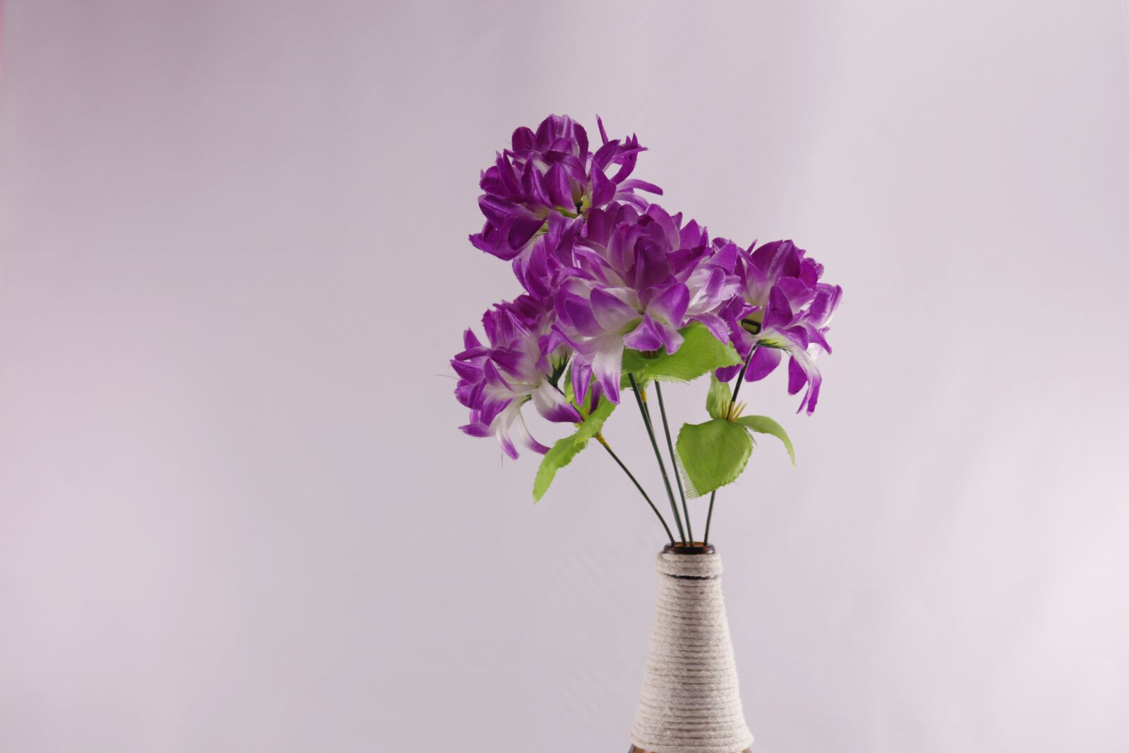 Canon EOS 200D (EOS Rebel SL2 / EOS Kiss X9) sample photo. Home decor, flowers, plastic photography