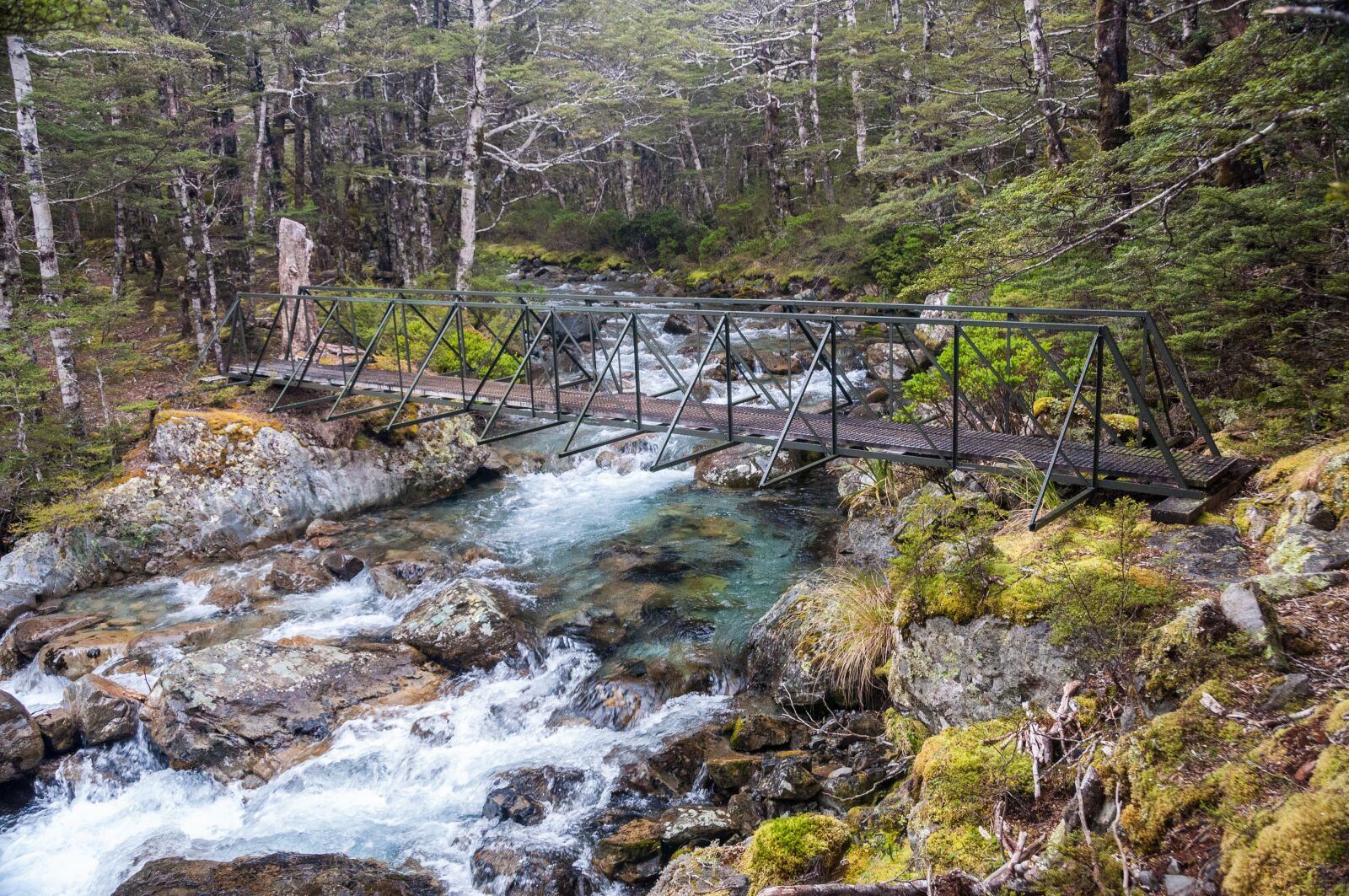 Nikon D90 sample photo. Nelson lakes national park photography