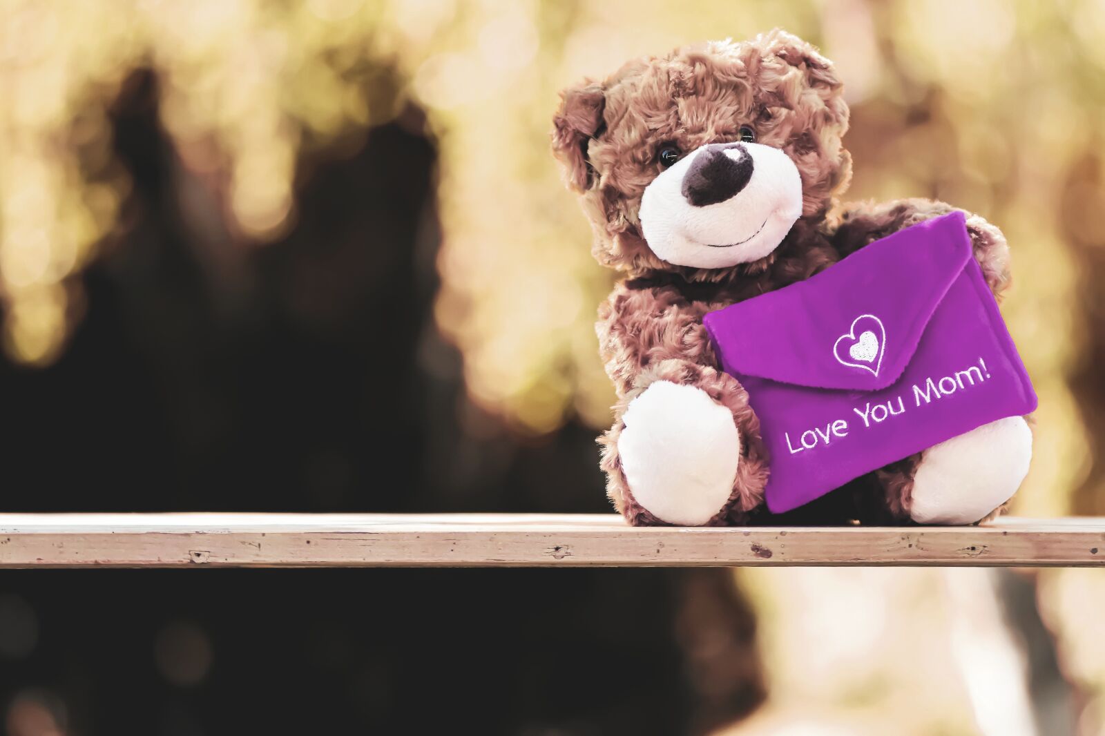 Nikon D7200 sample photo. Teddy, love, mother's day photography