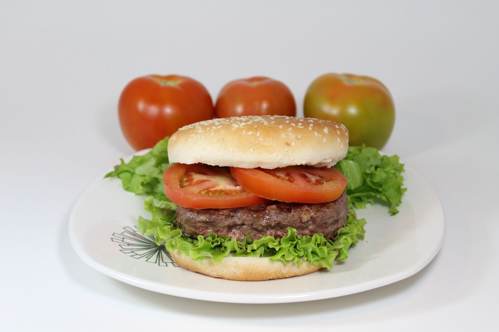 Canon EOS 1100D (EOS Rebel T3 / EOS Kiss X50) sample photo. Burger, meat, food photography